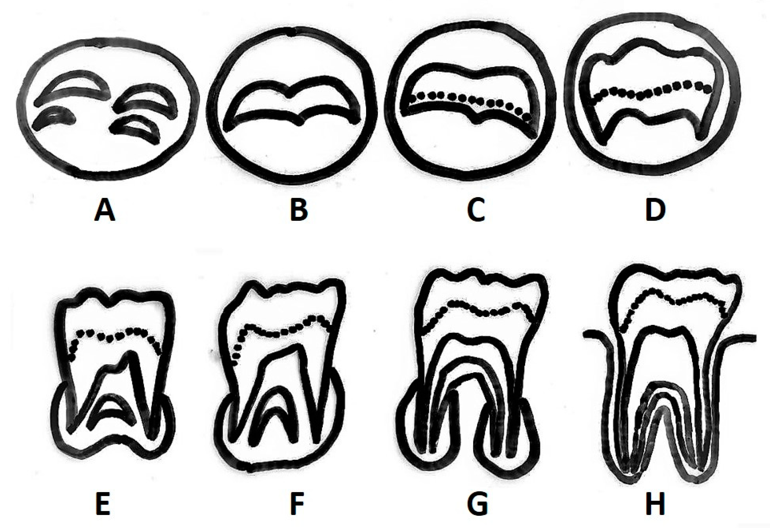 Applsci 13 02069 g001