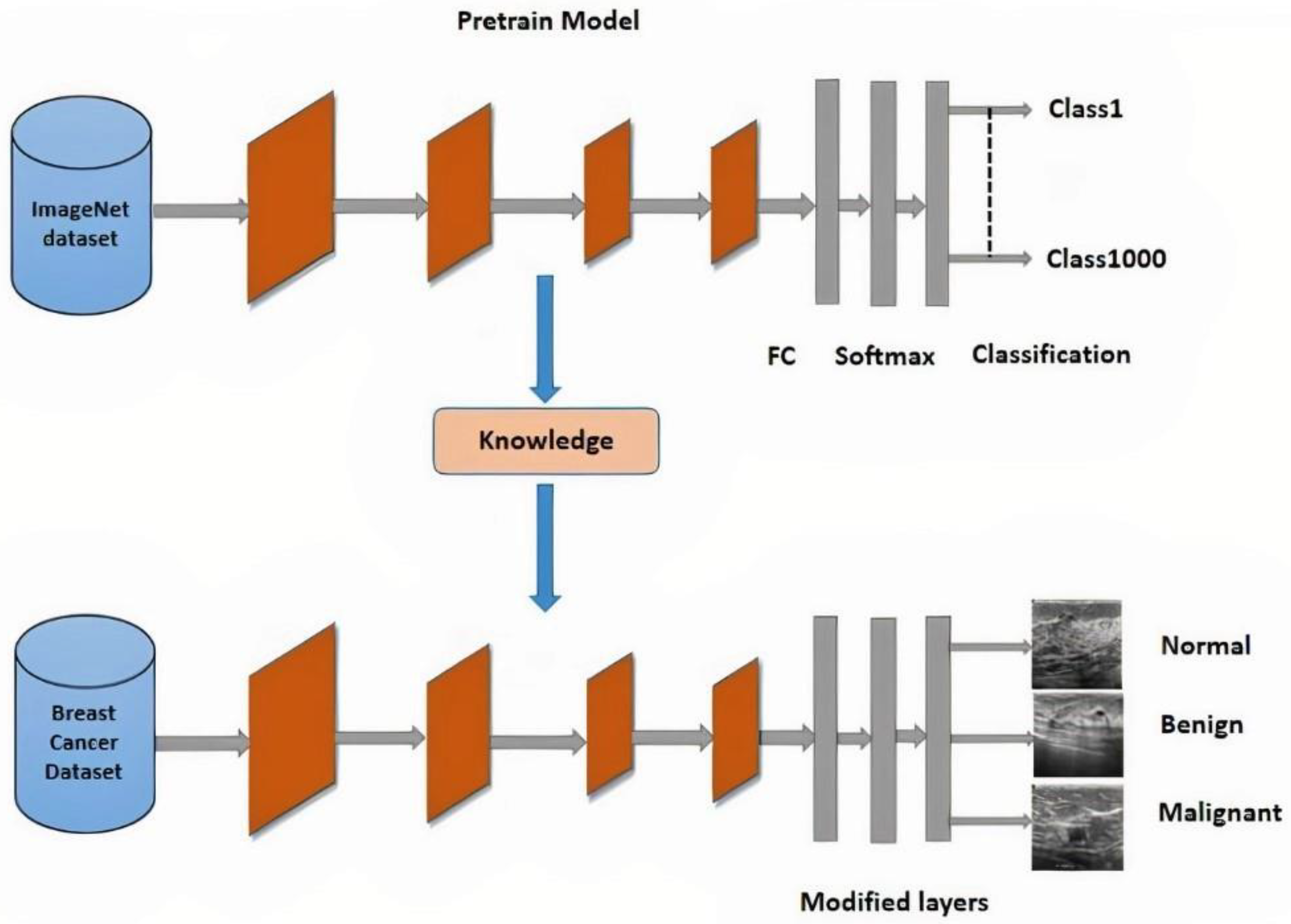 Applsci 13 02082 g003