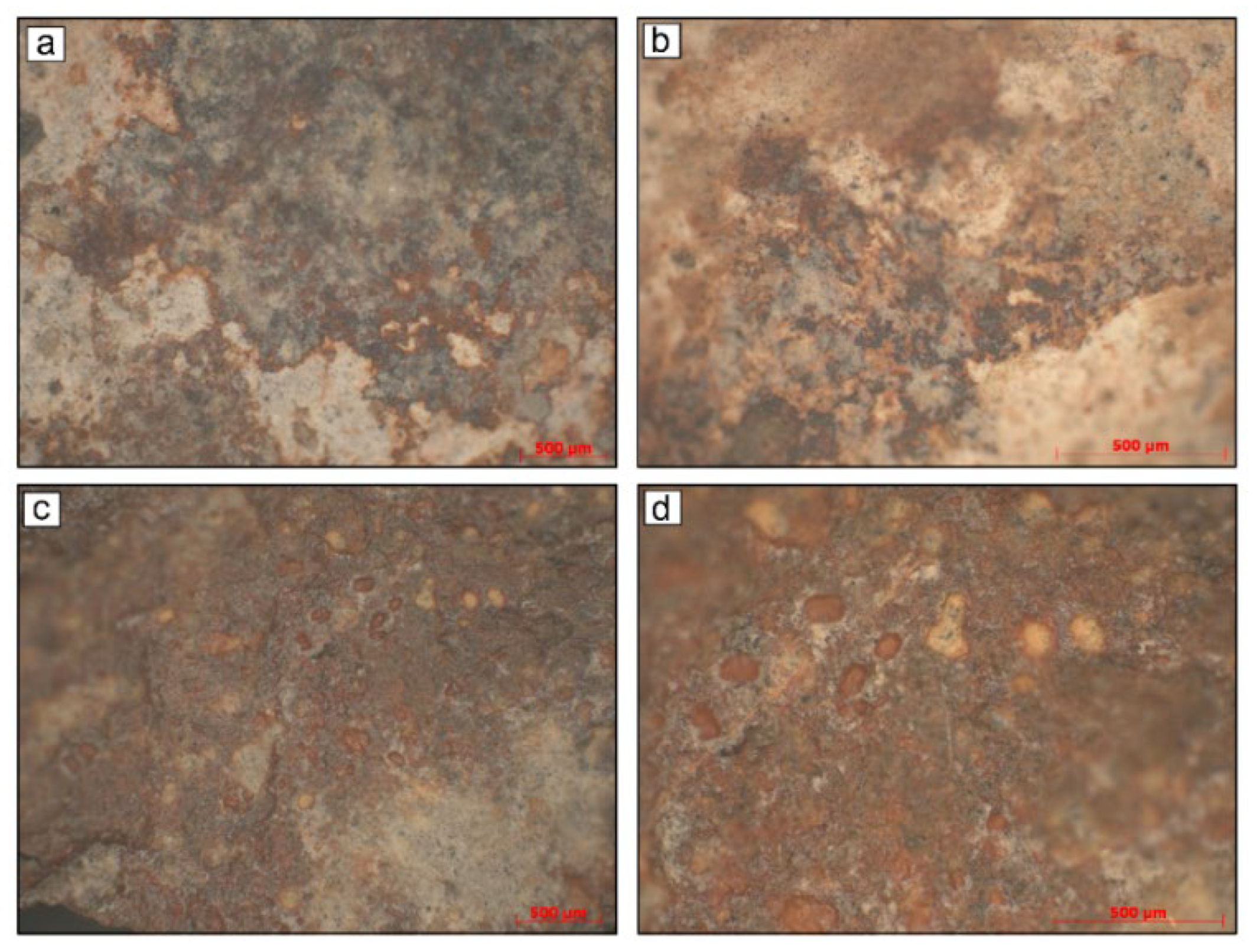 Applsci 13 02093 g007