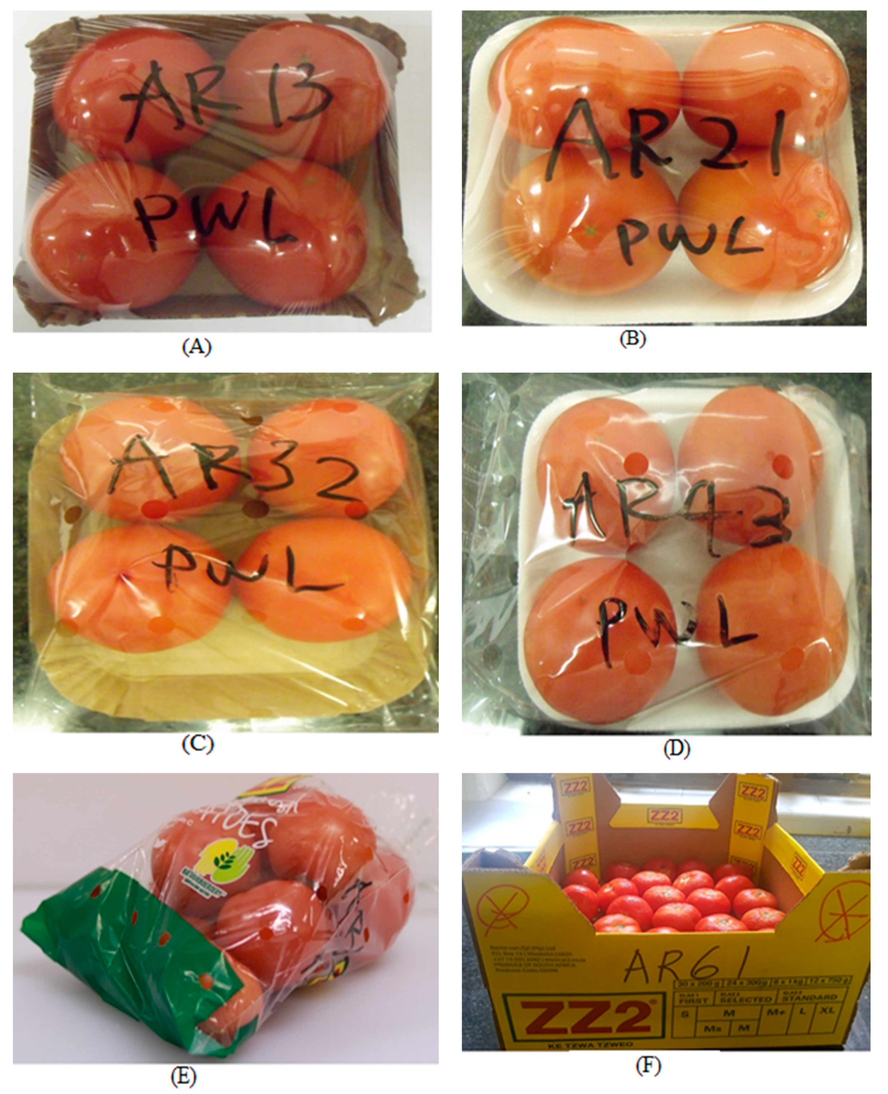 Applsci 13 02100 g001