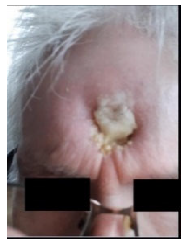 Applsci 13 02107 g001