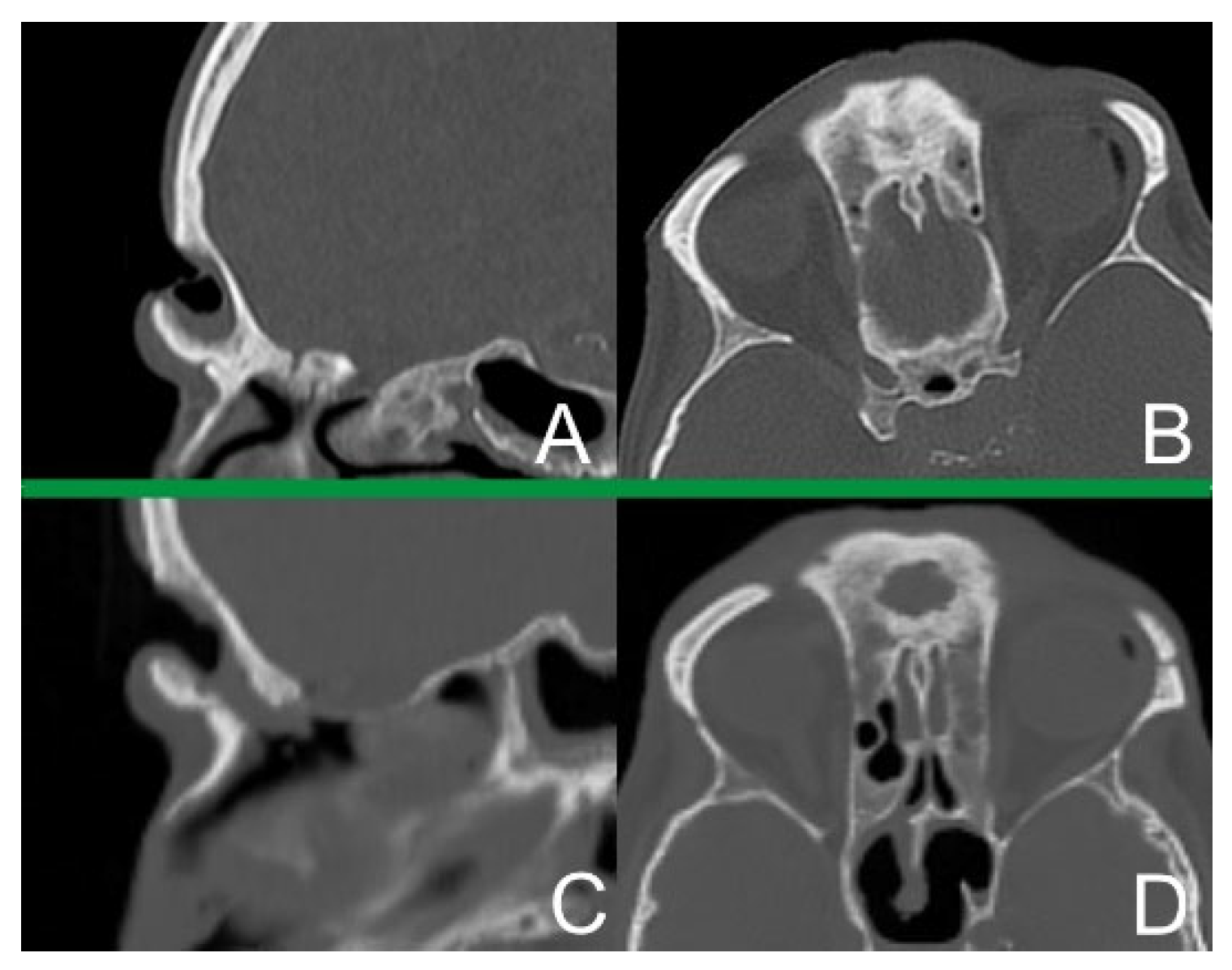 Applsci 13 02107 g003