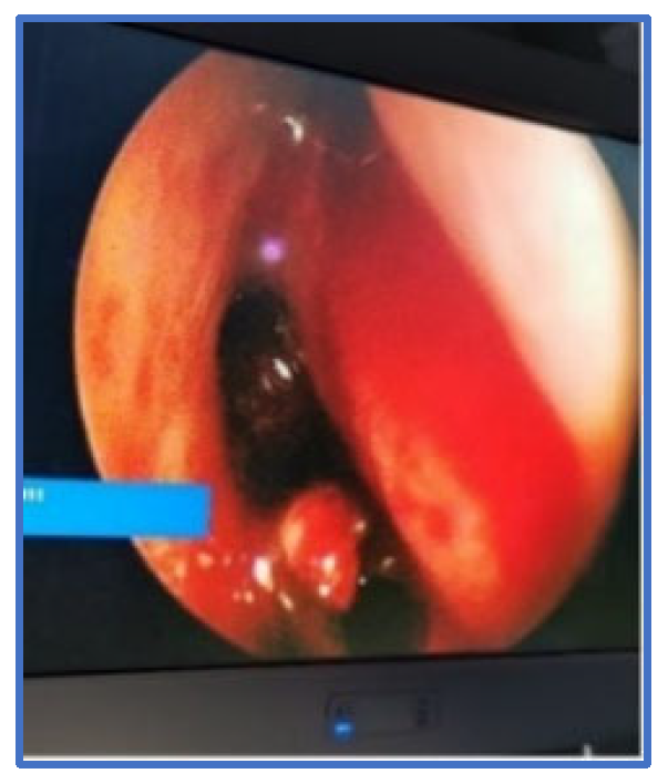 Applsci 13 02107 g005