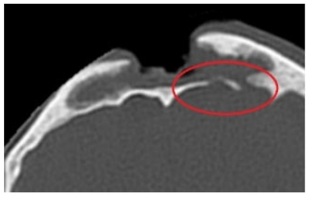 Applsci 13 02107 g007