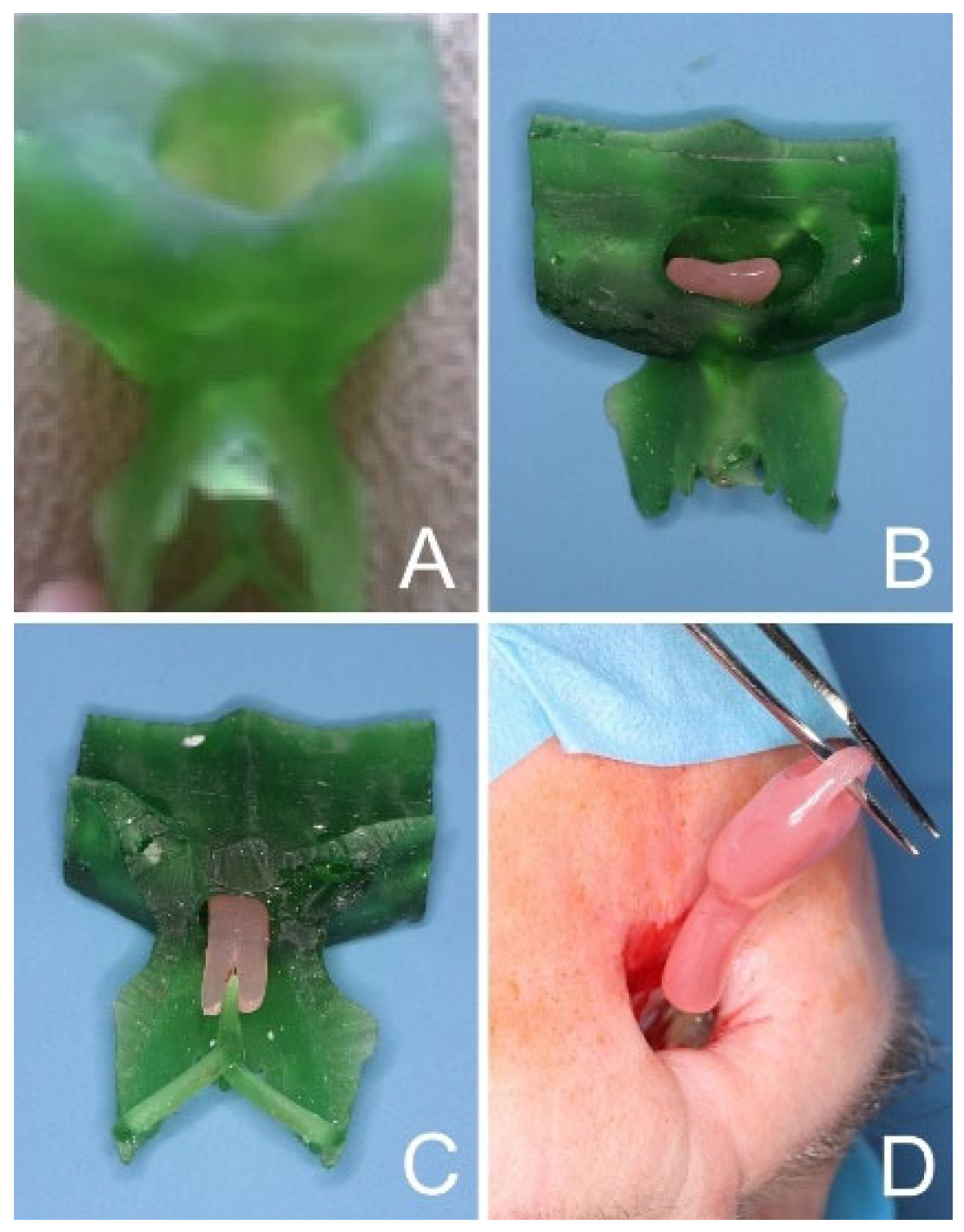 Applsci 13 02107 g009