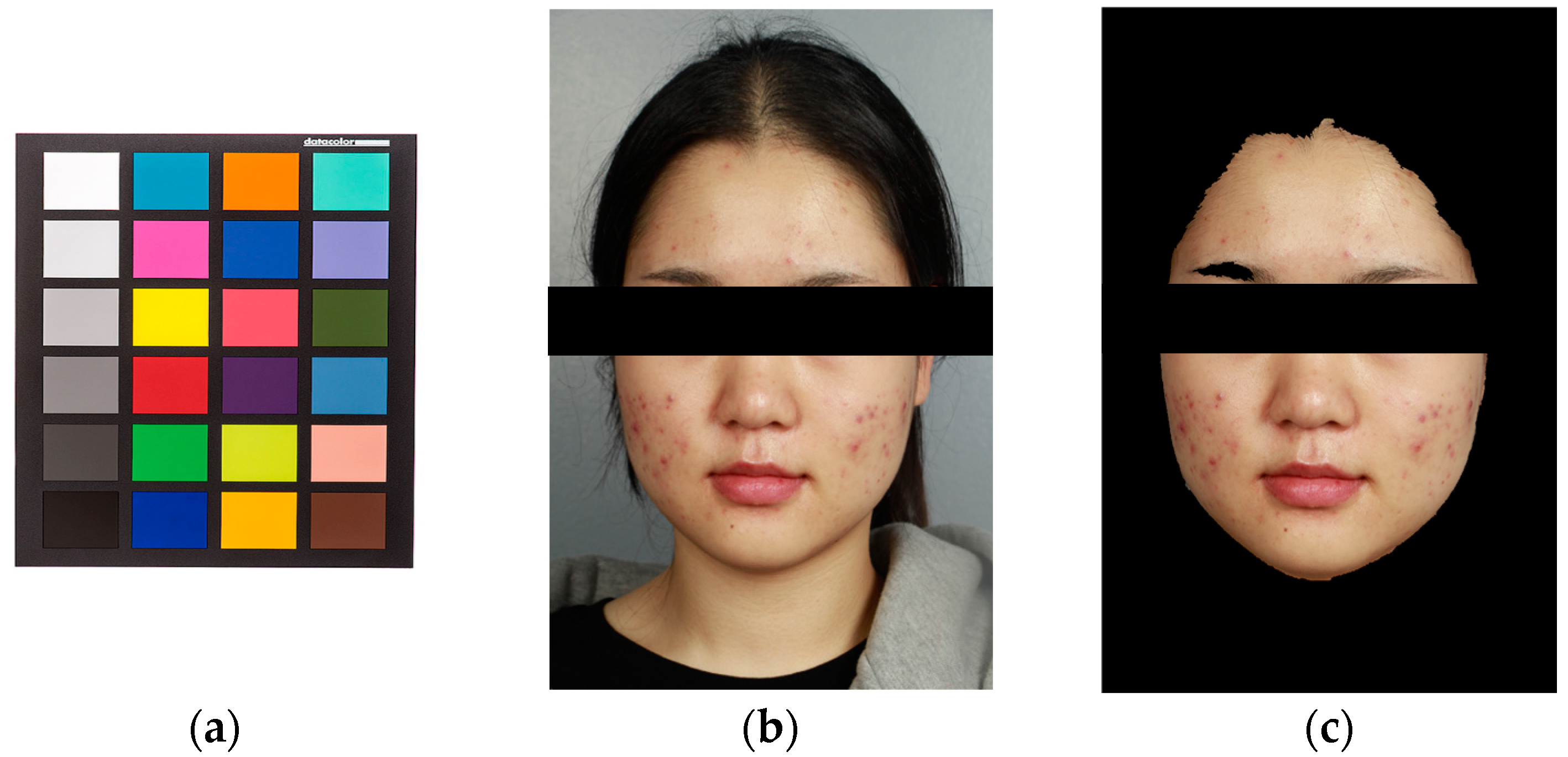 Applsci 13 02114 g002a