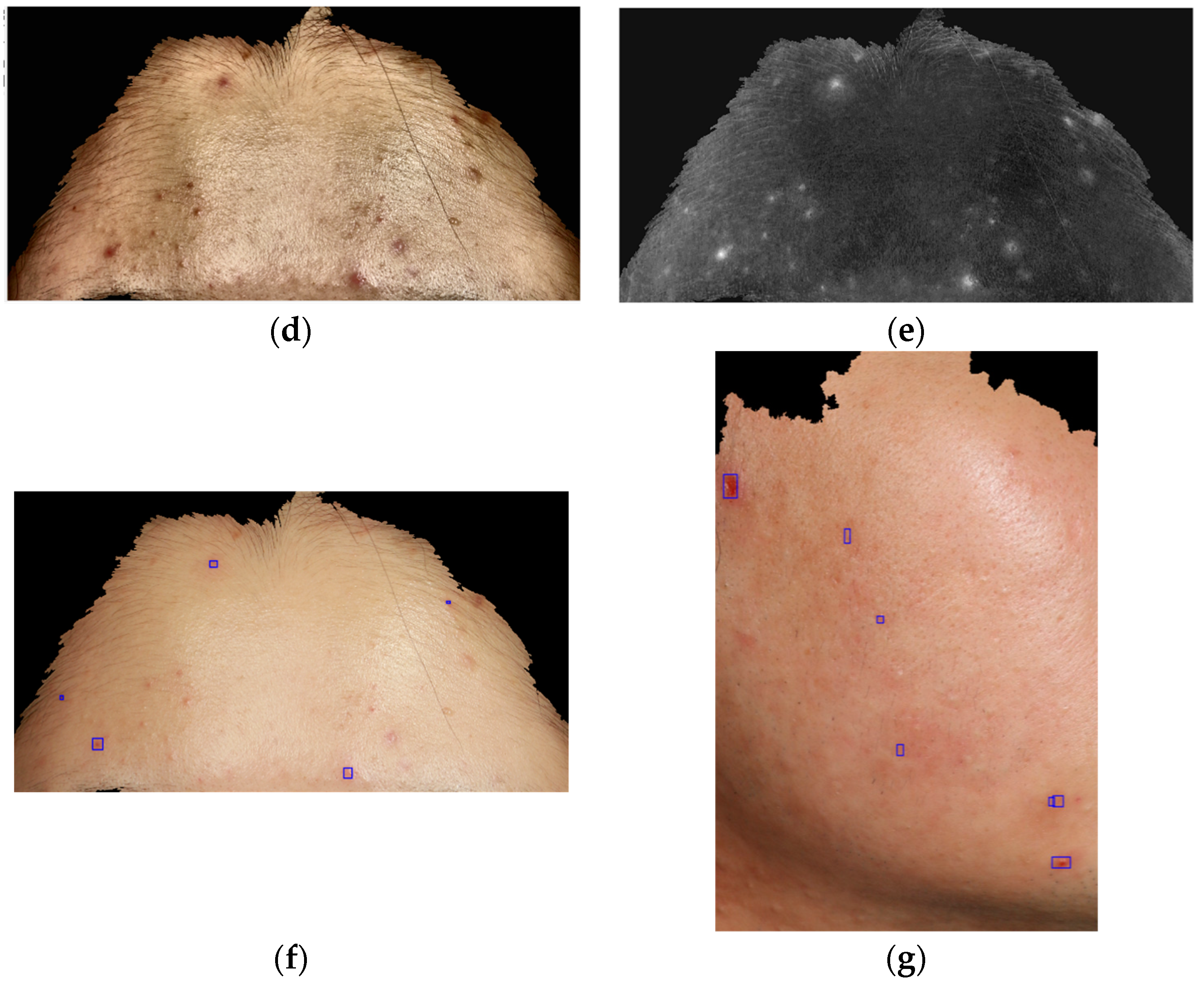 Applsci 13 02114 g002b