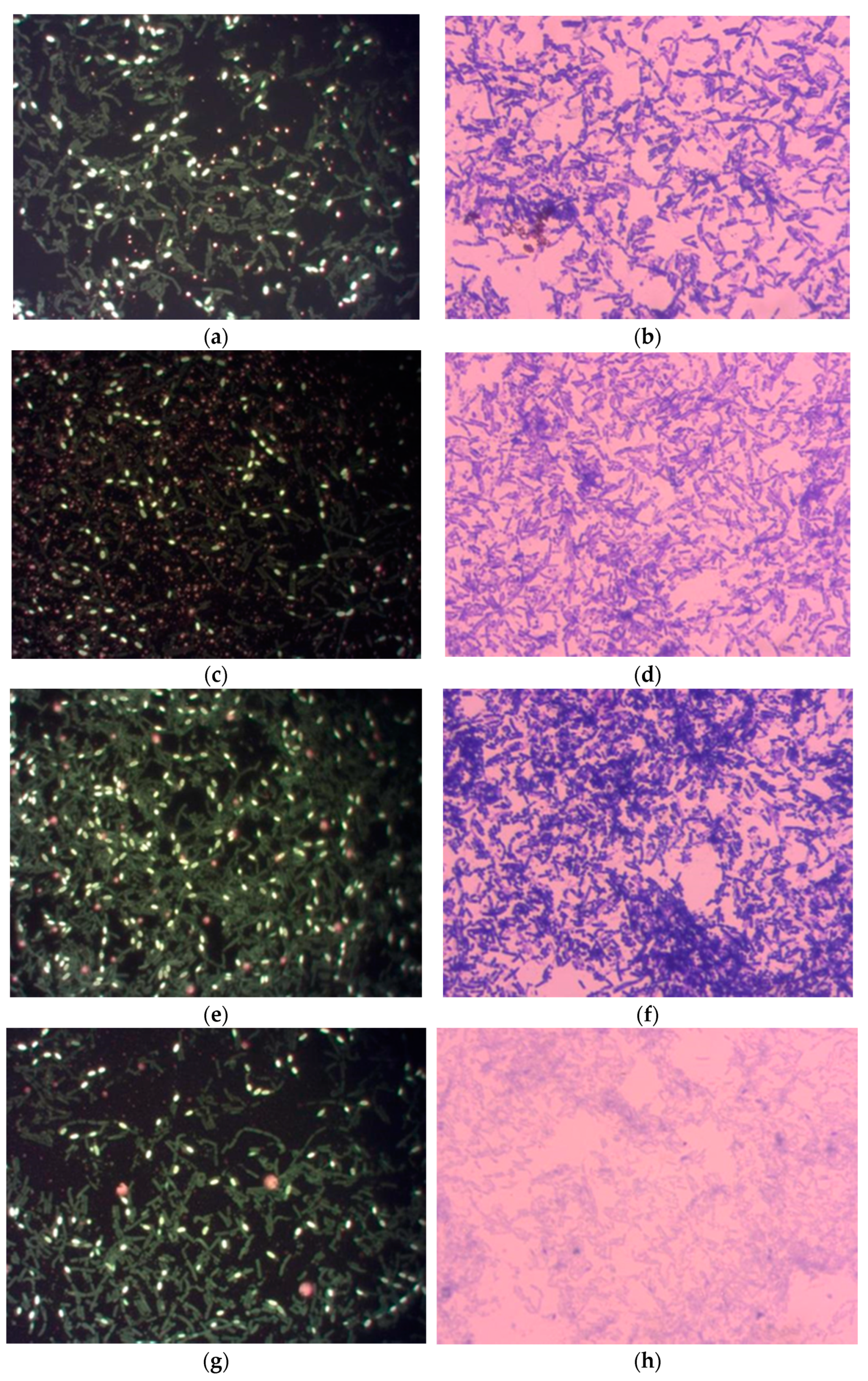 Applsci 13 02119 g001a