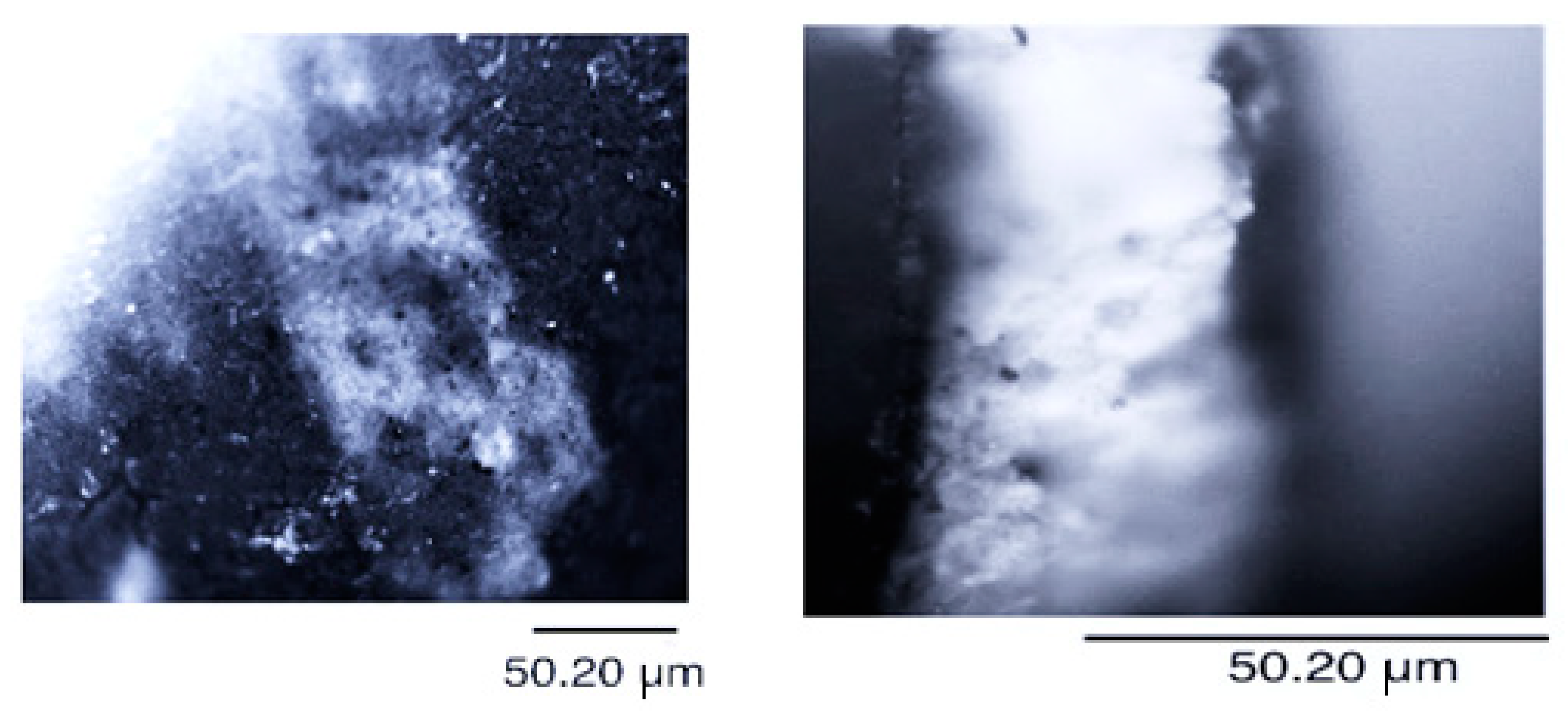 Applsci 13 02124 g003