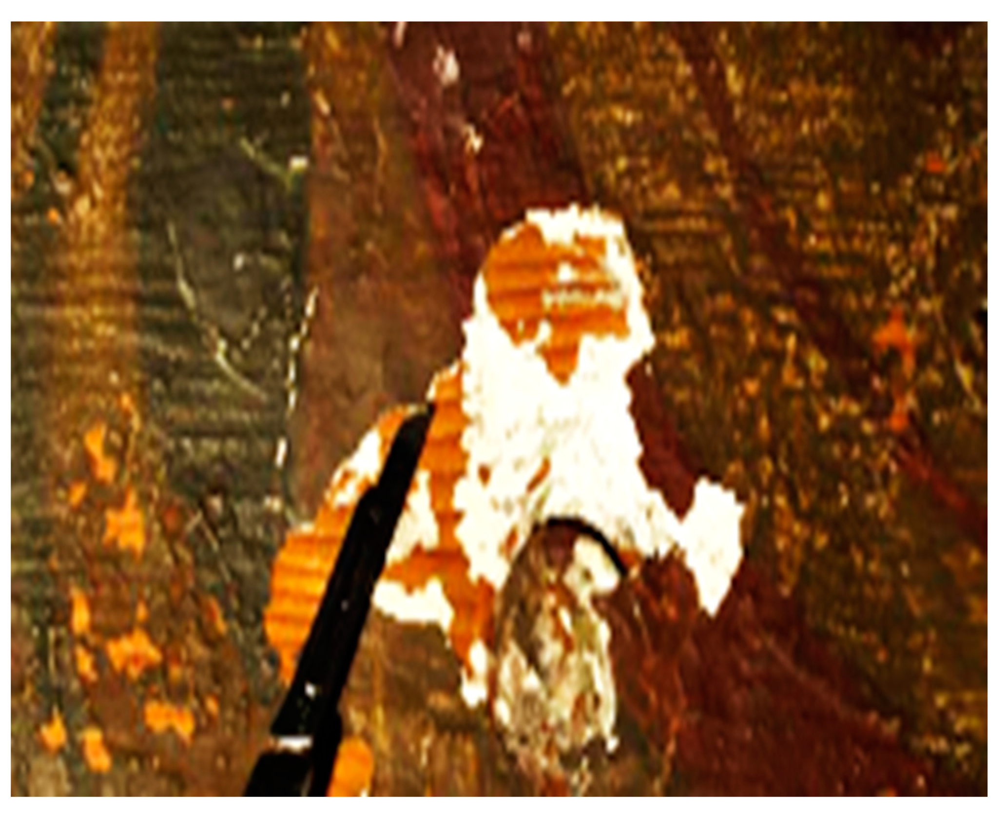 Applsci 13 02124 g007