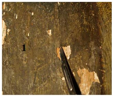 Applsci 13 02124 i001