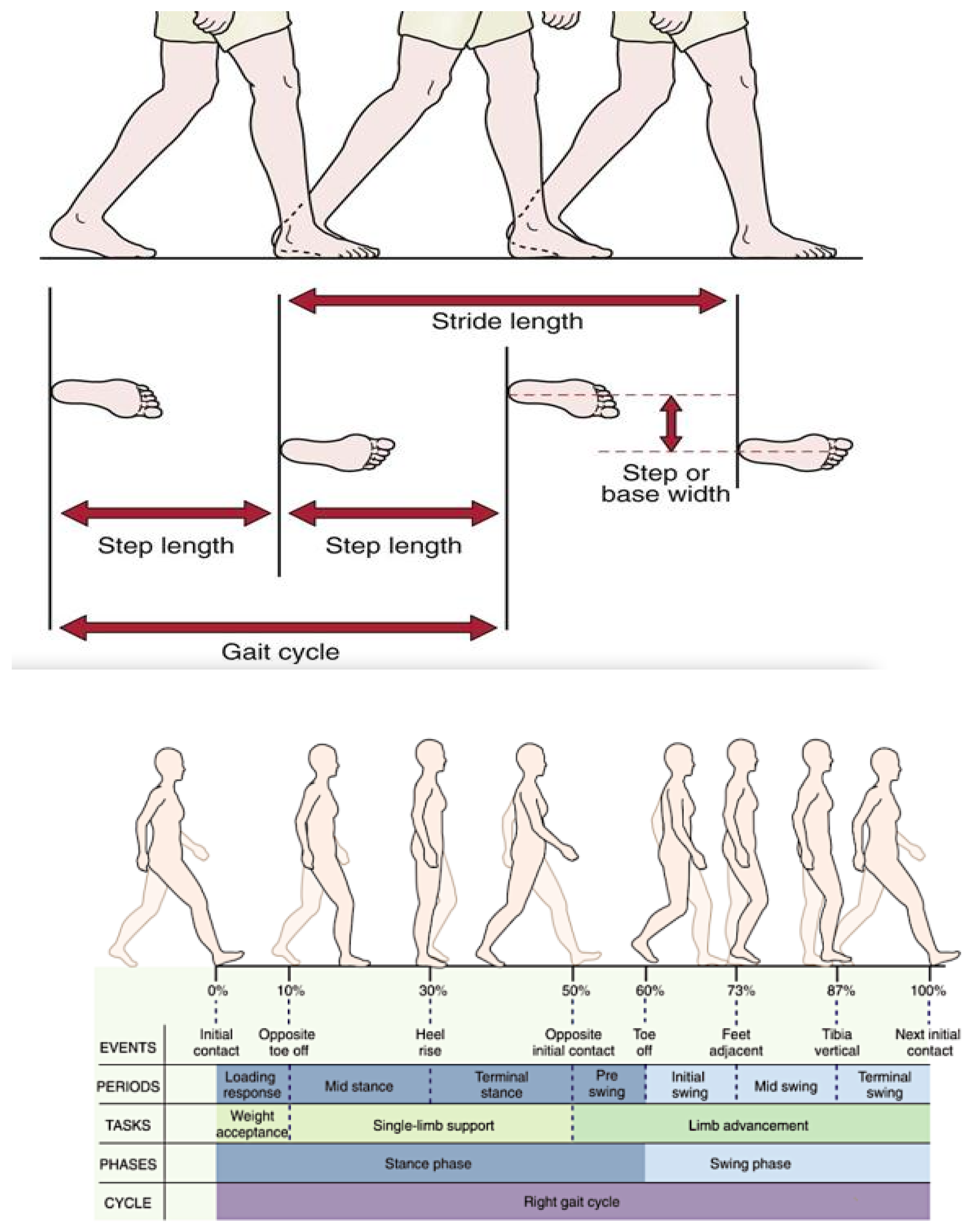 Applsci 13 02133 g002
