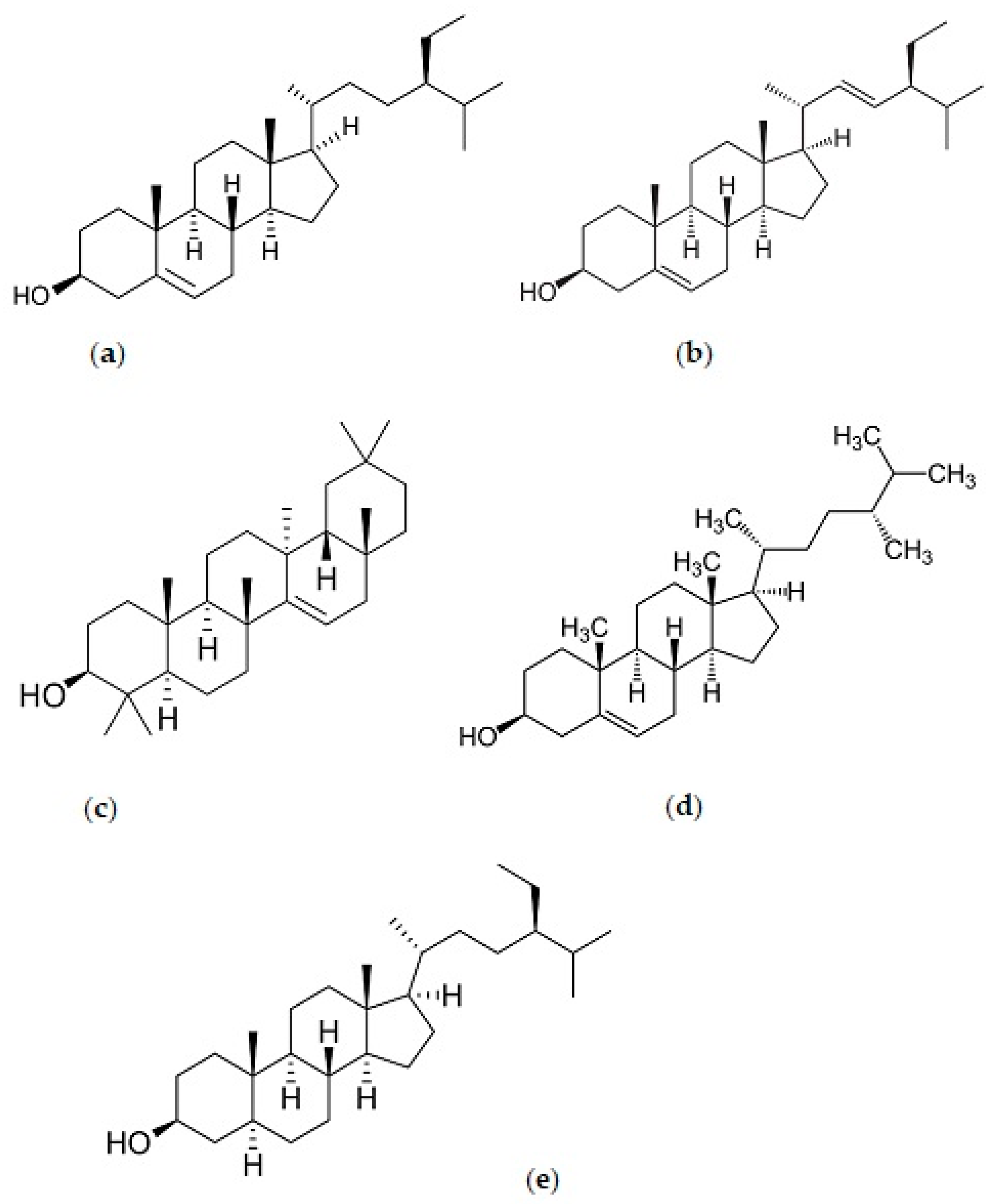 Applsci 13 02134 g001