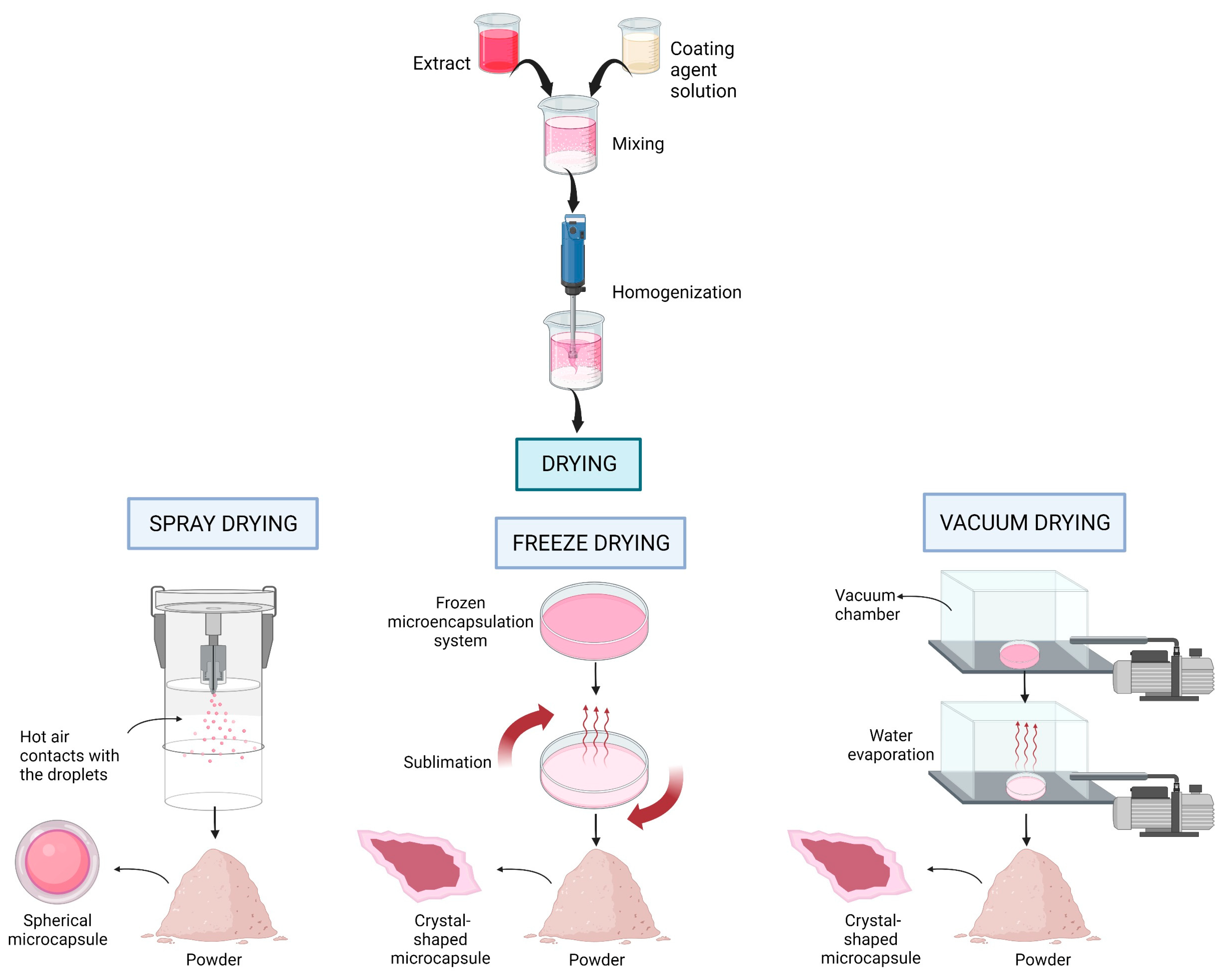 Applsci 13 02134 g003