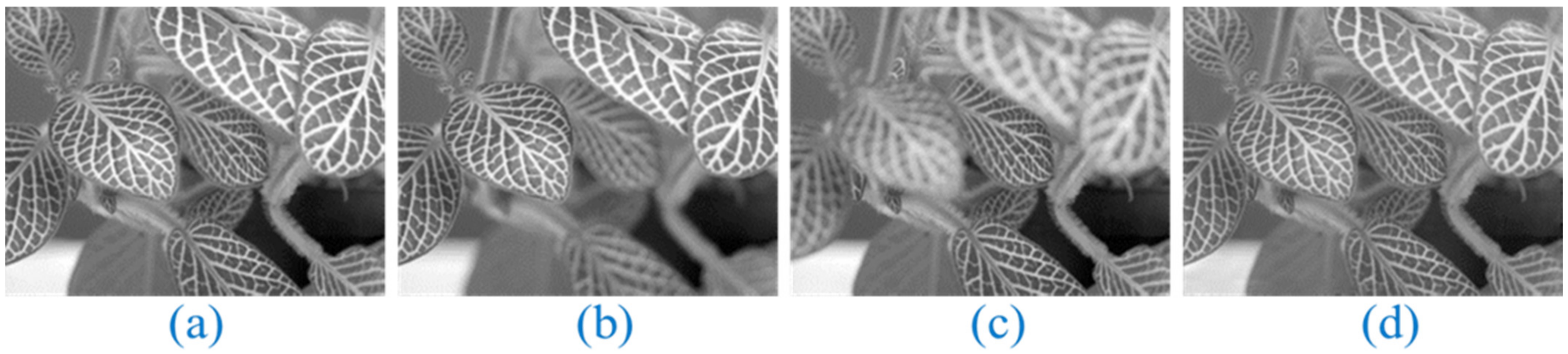 Applsci 13 02138 g014