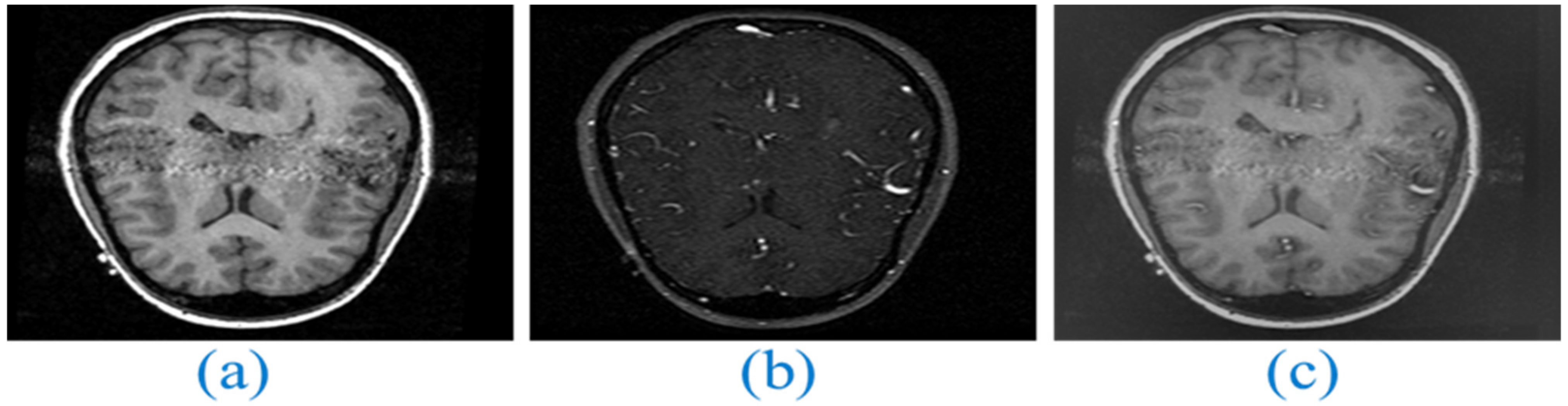 Applsci 13 02138 g021
