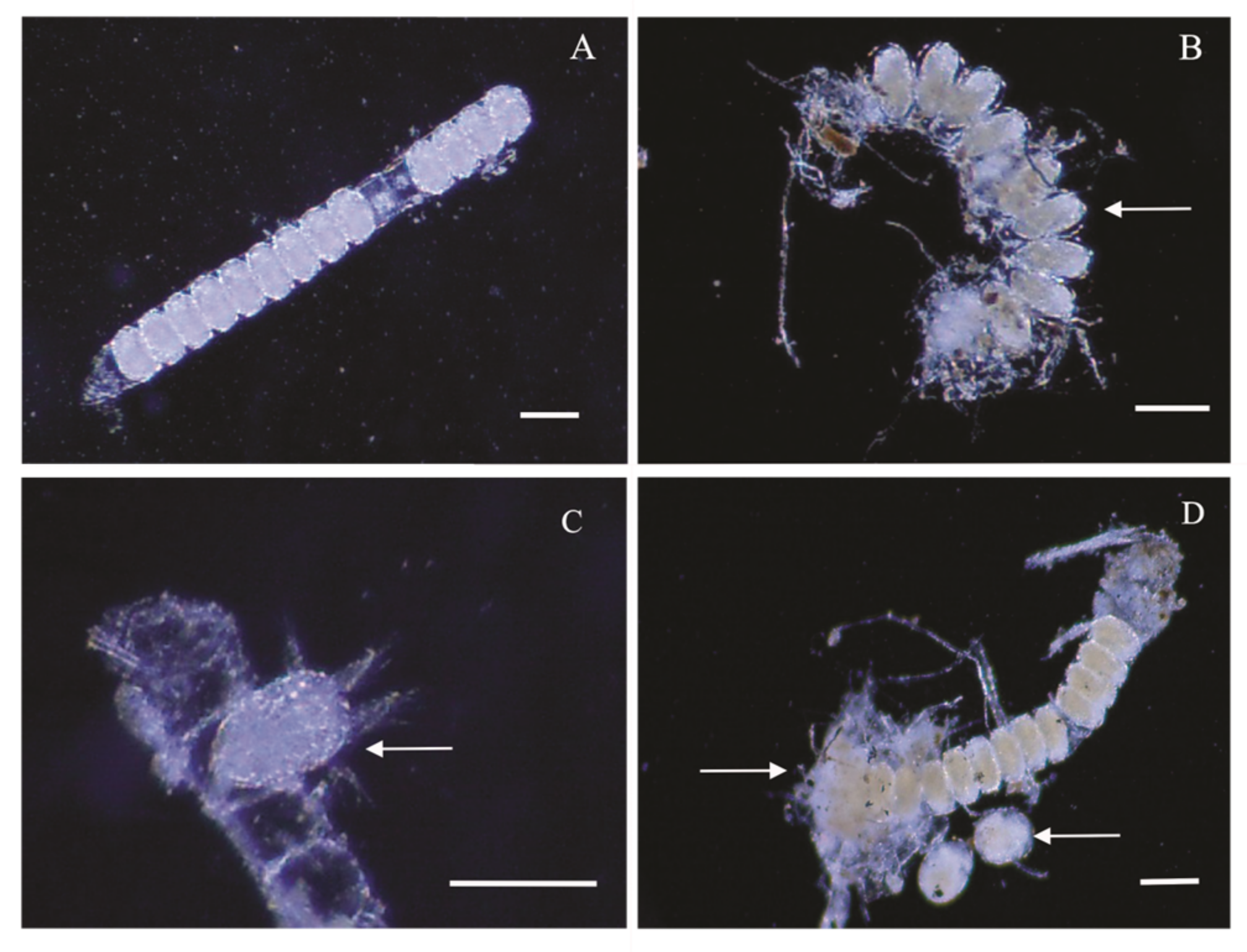 Applsci 13 02145 g003