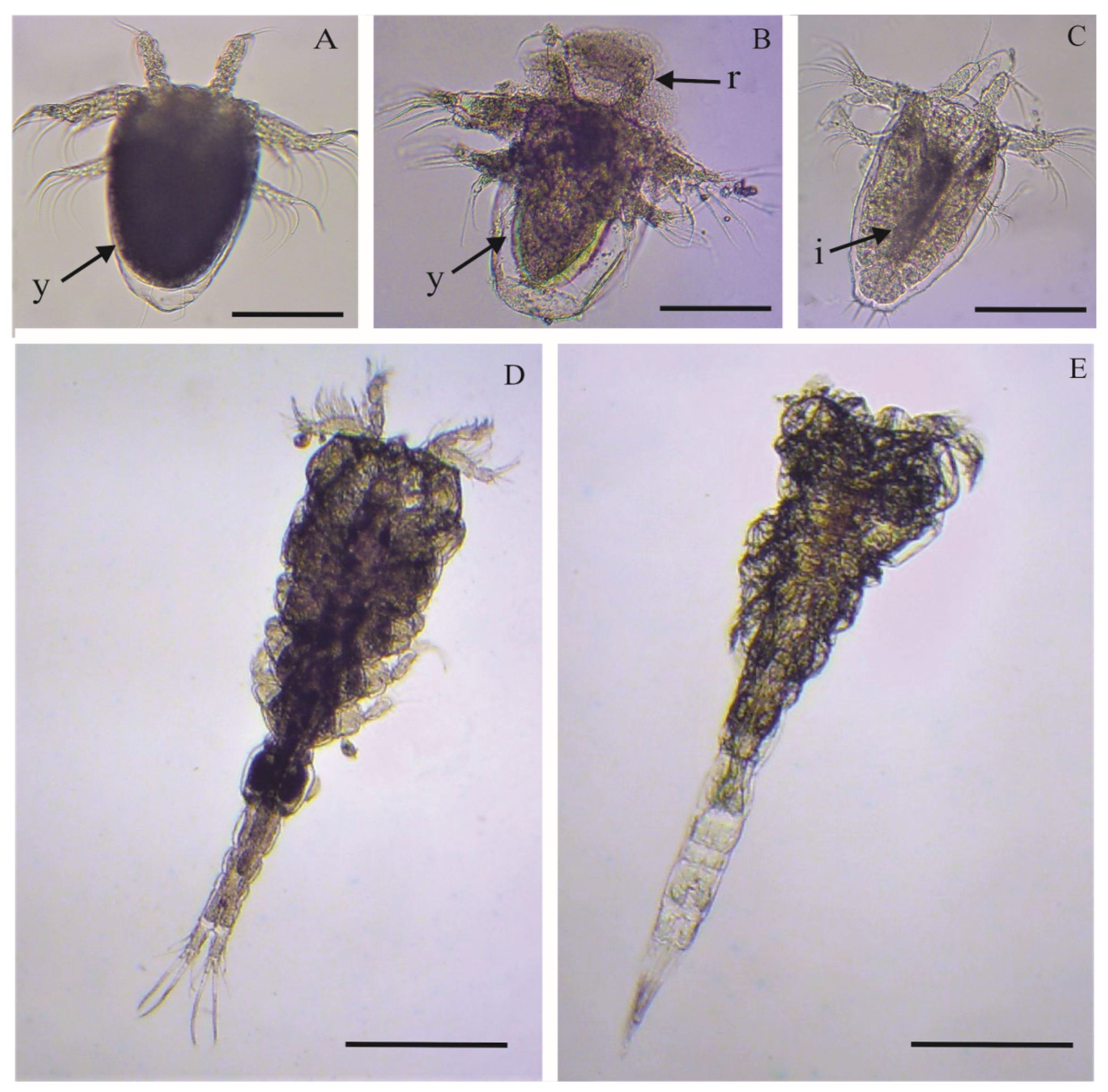 Applsci 13 02145 g004