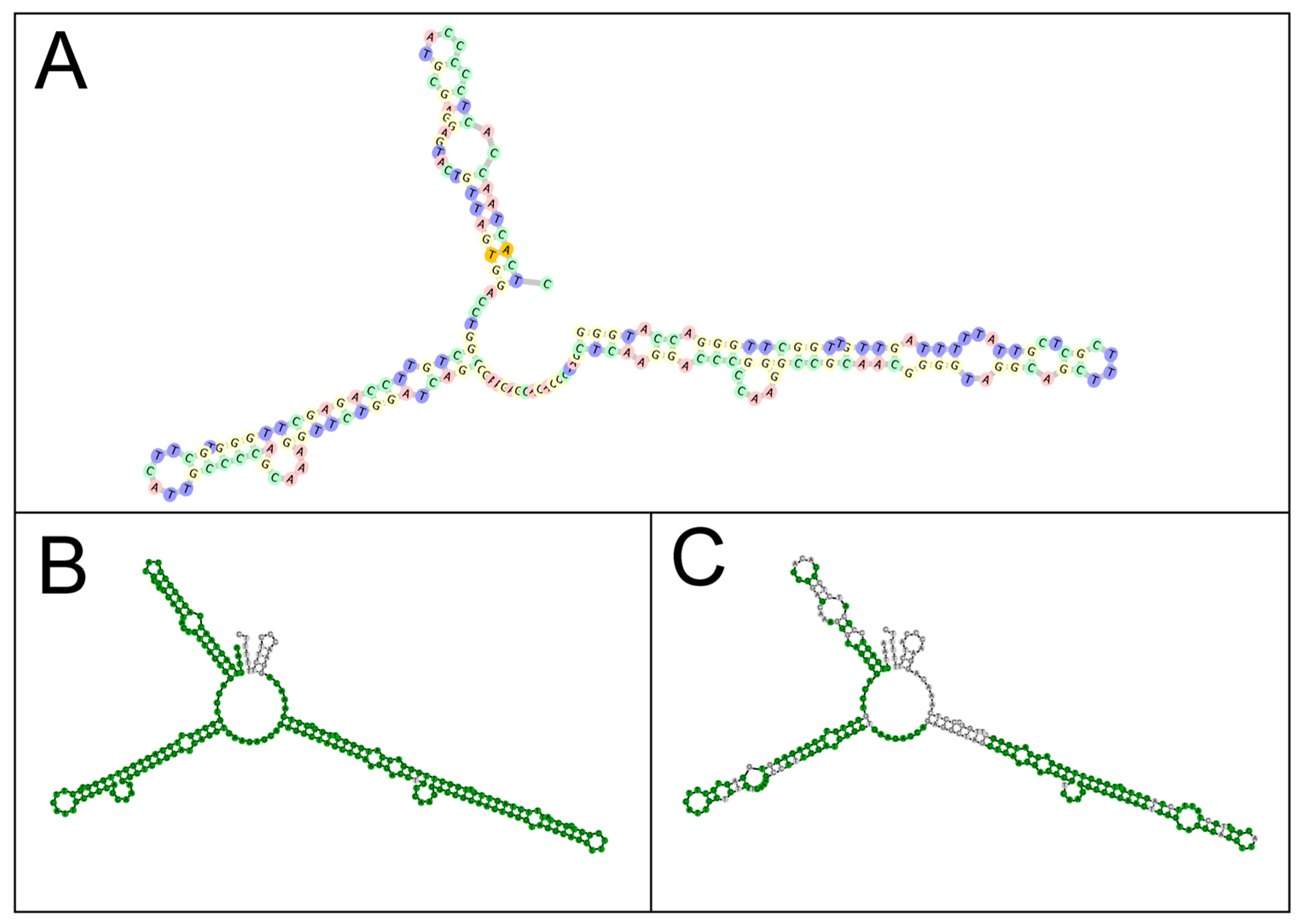 Applsci 13 02146 g003