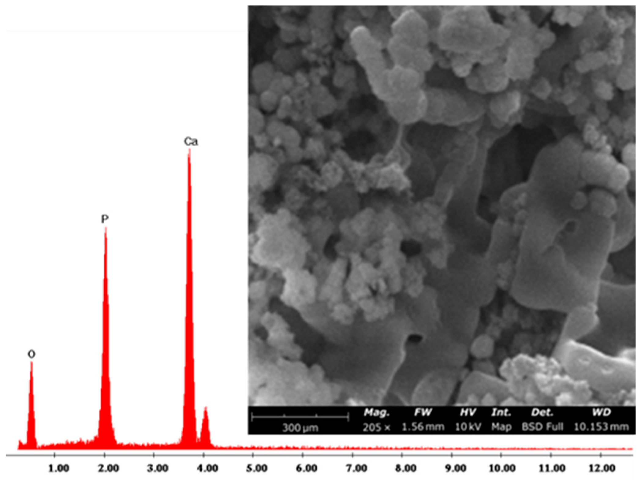 Applsci 13 02164 g006