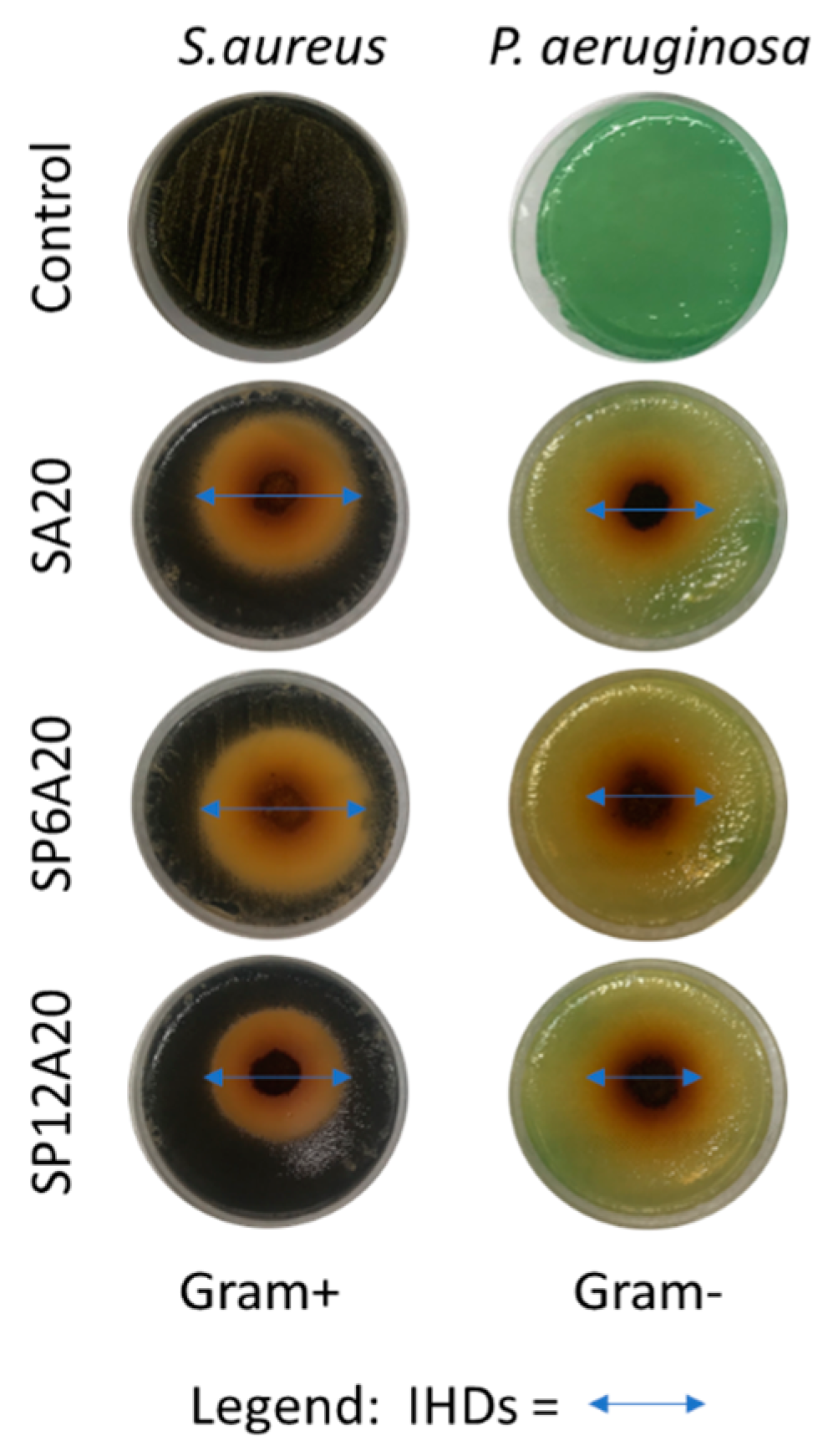 Applsci 13 02164 g008