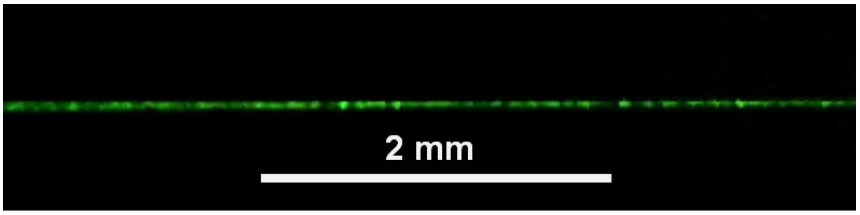 Applsci 13 02183 g001 Applsci 13 02183 g001