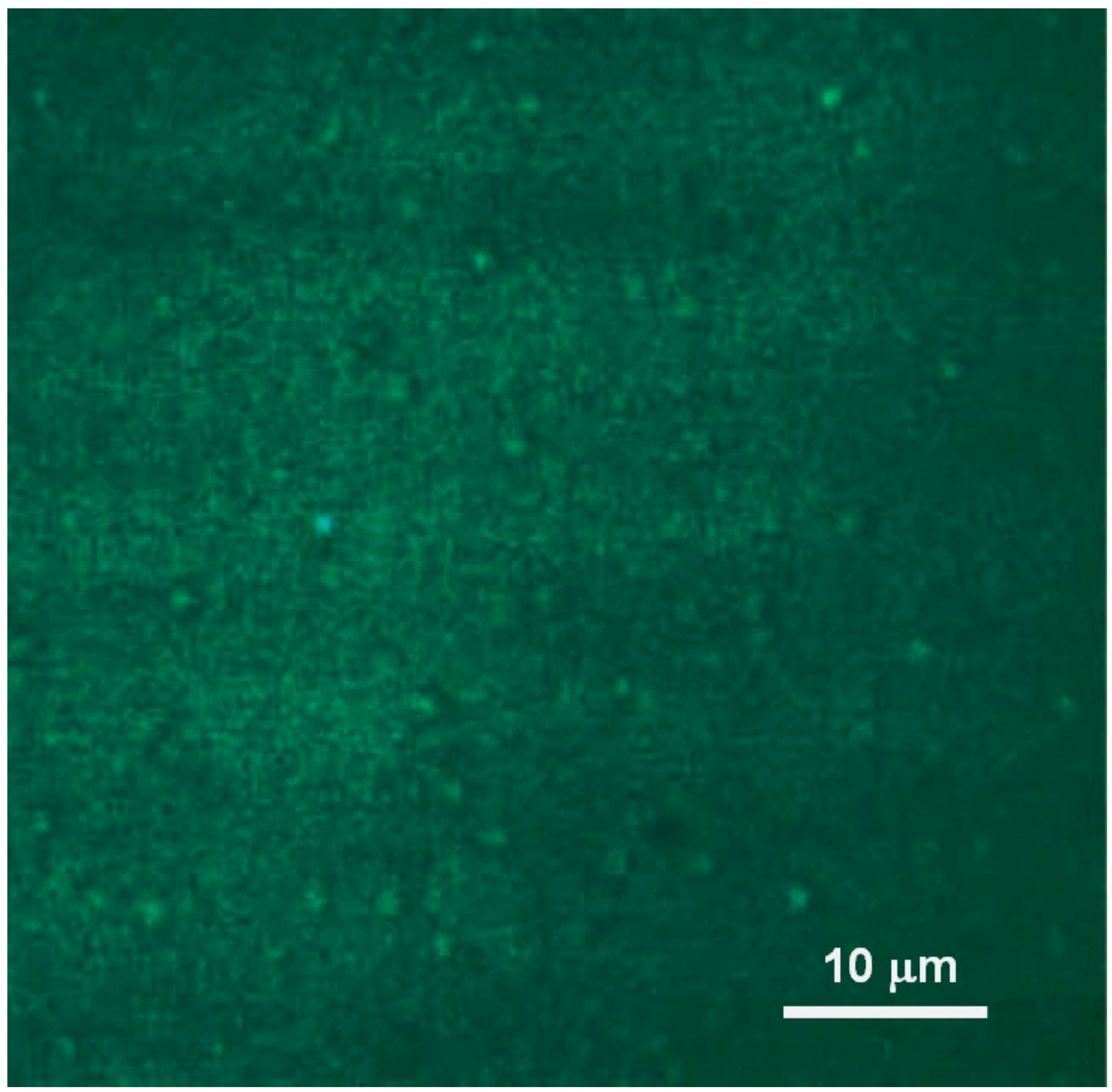 Applsci 13 02183 g002 Applsci 13 02183 g002