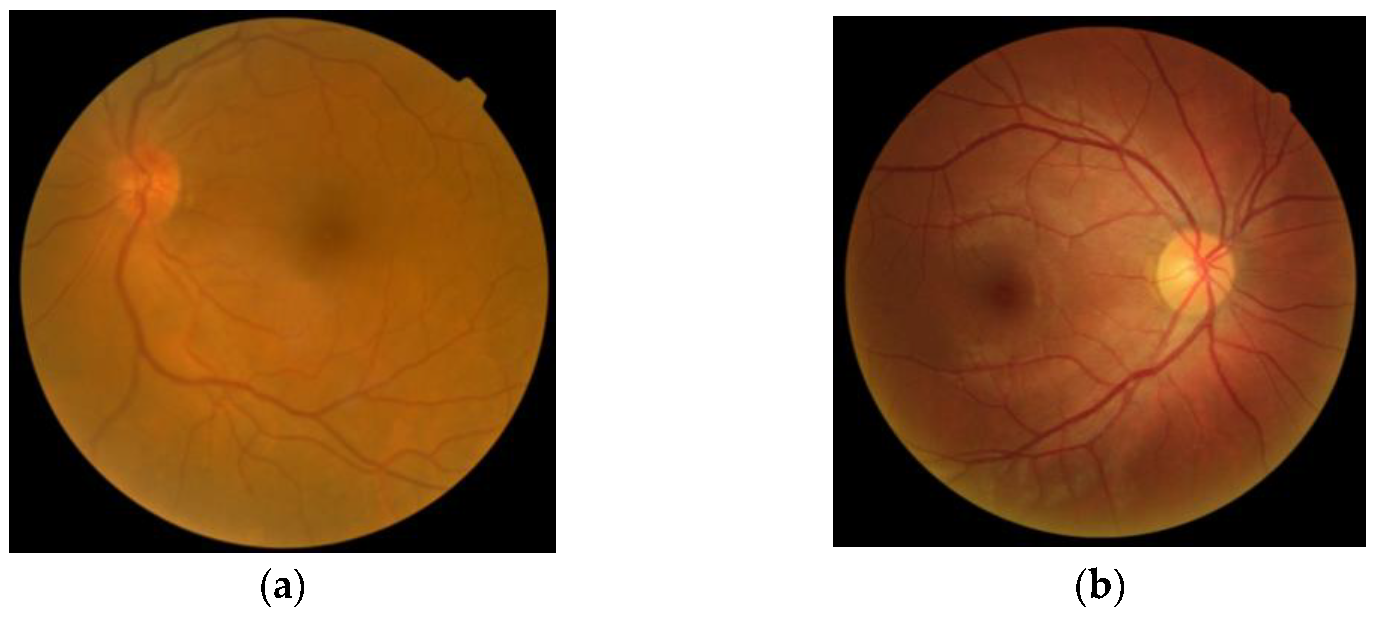 Applsci 13 02195 g001