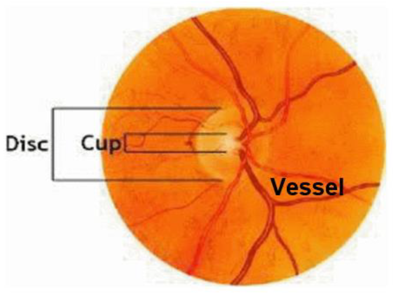 Applsci 13 02195 g002