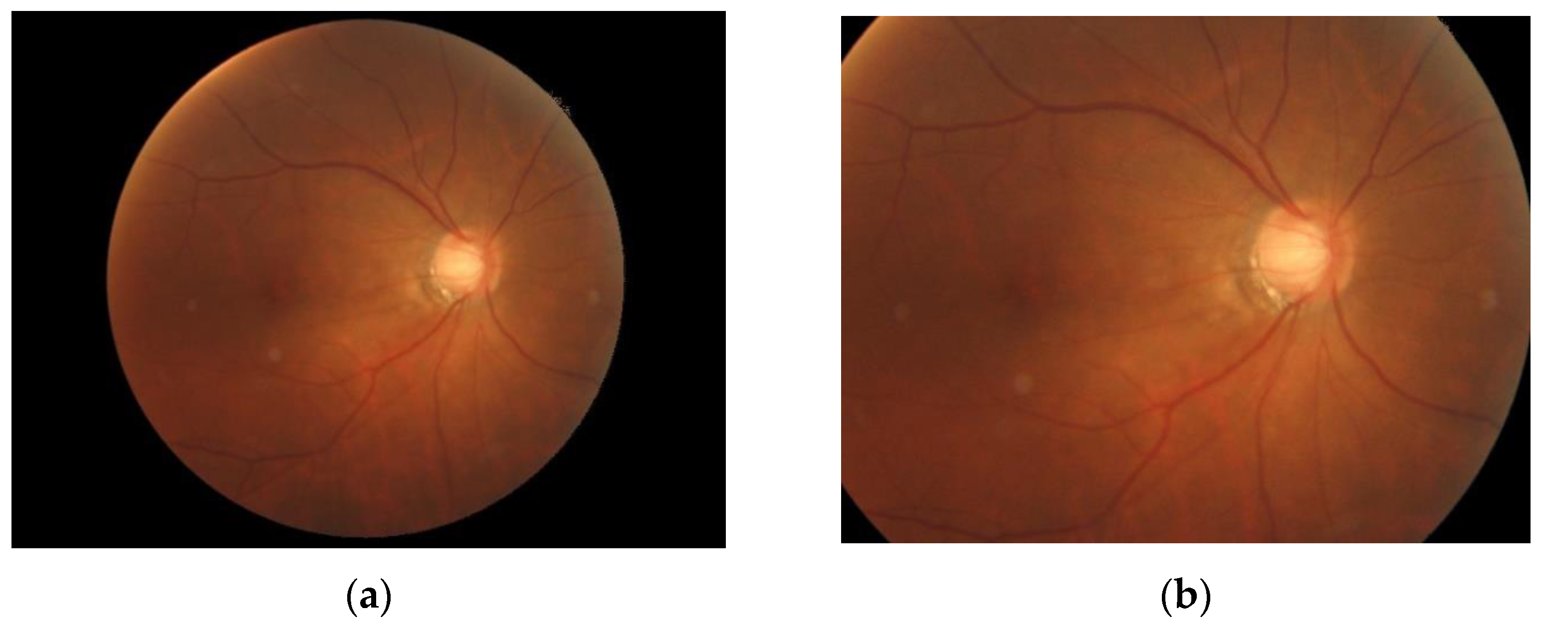 Applsci 13 02195 g007