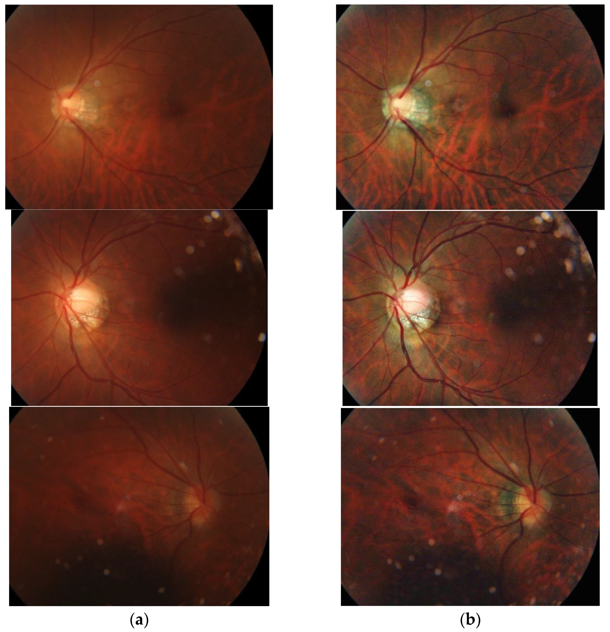 Applsci 13 02195 g009