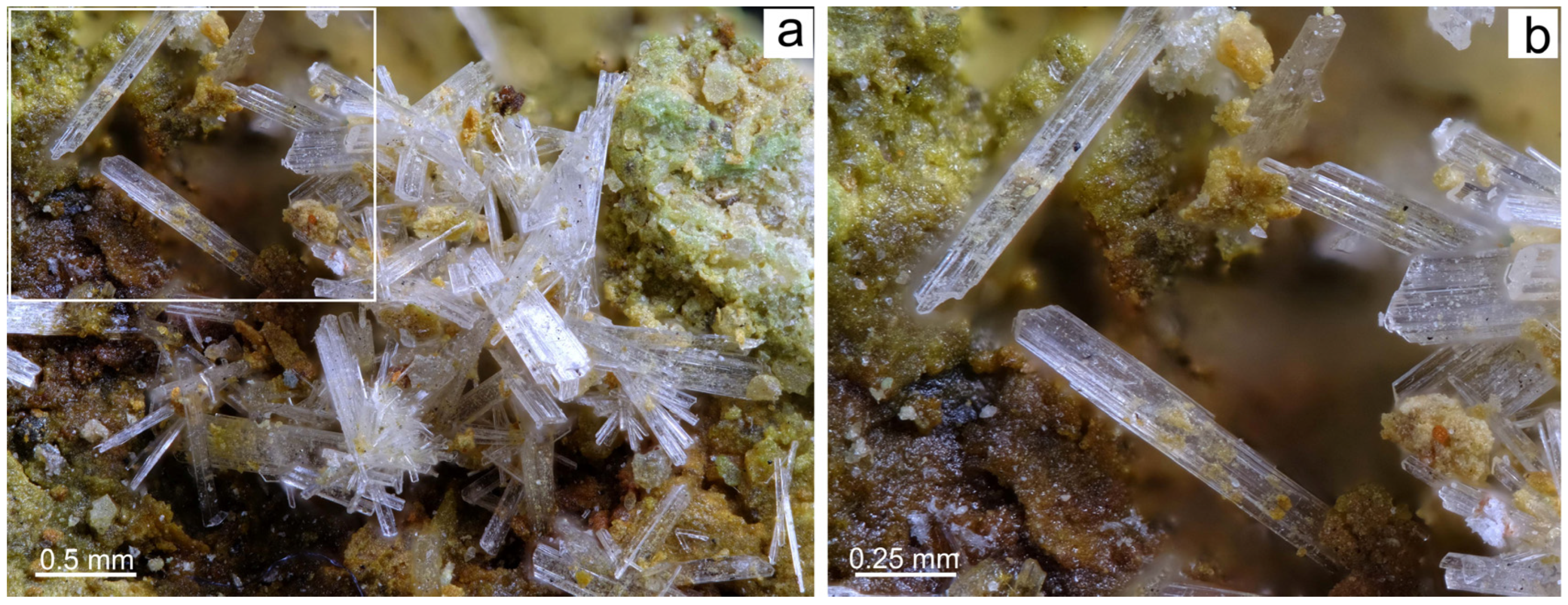 Applsci 13 02200 g008