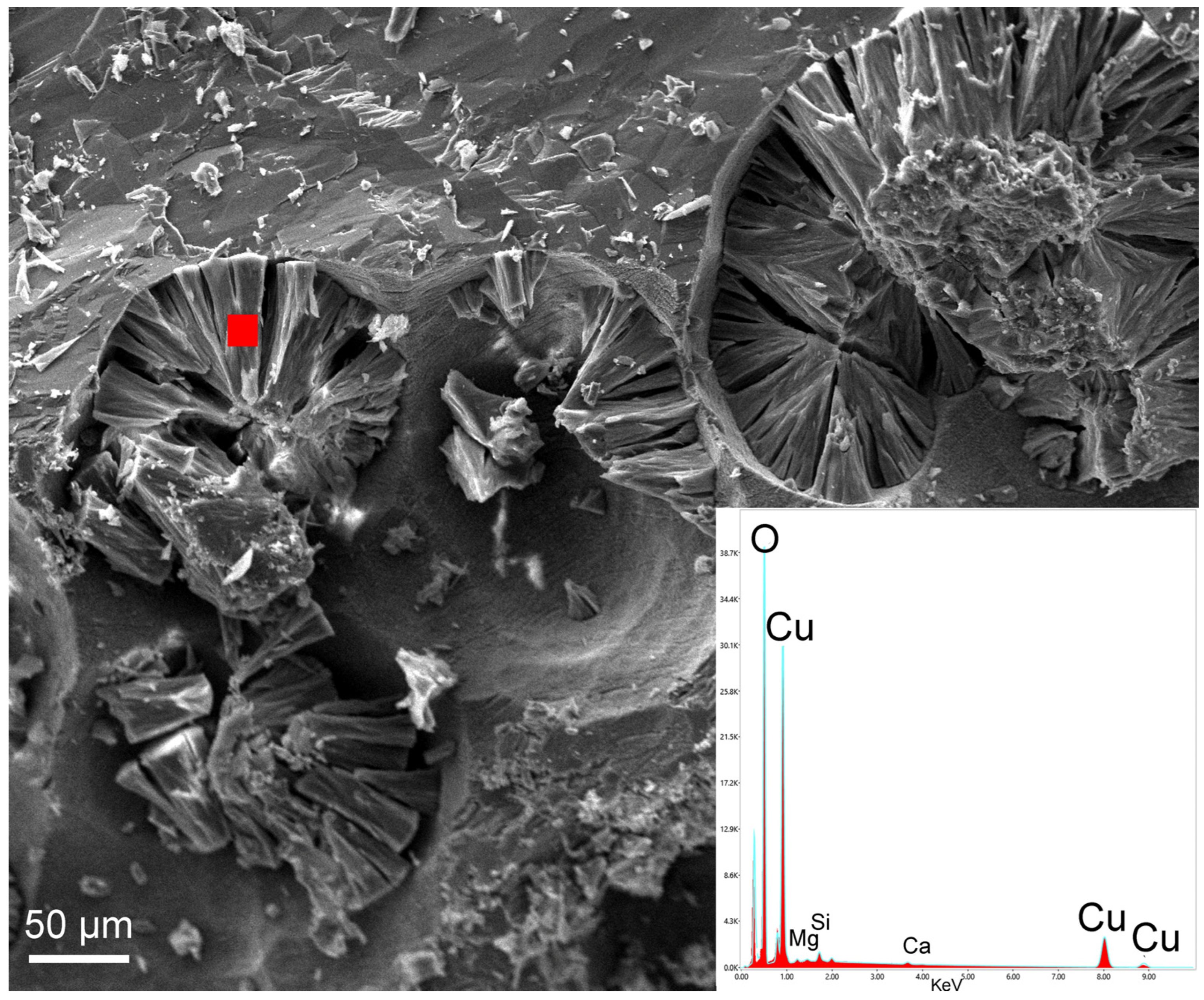 Applsci 13 02200 g015