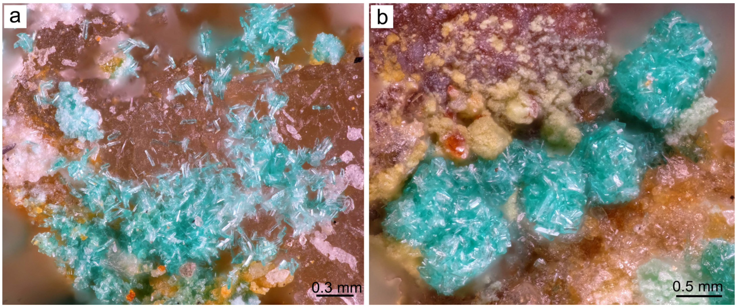 Applsci 13 02200 g017