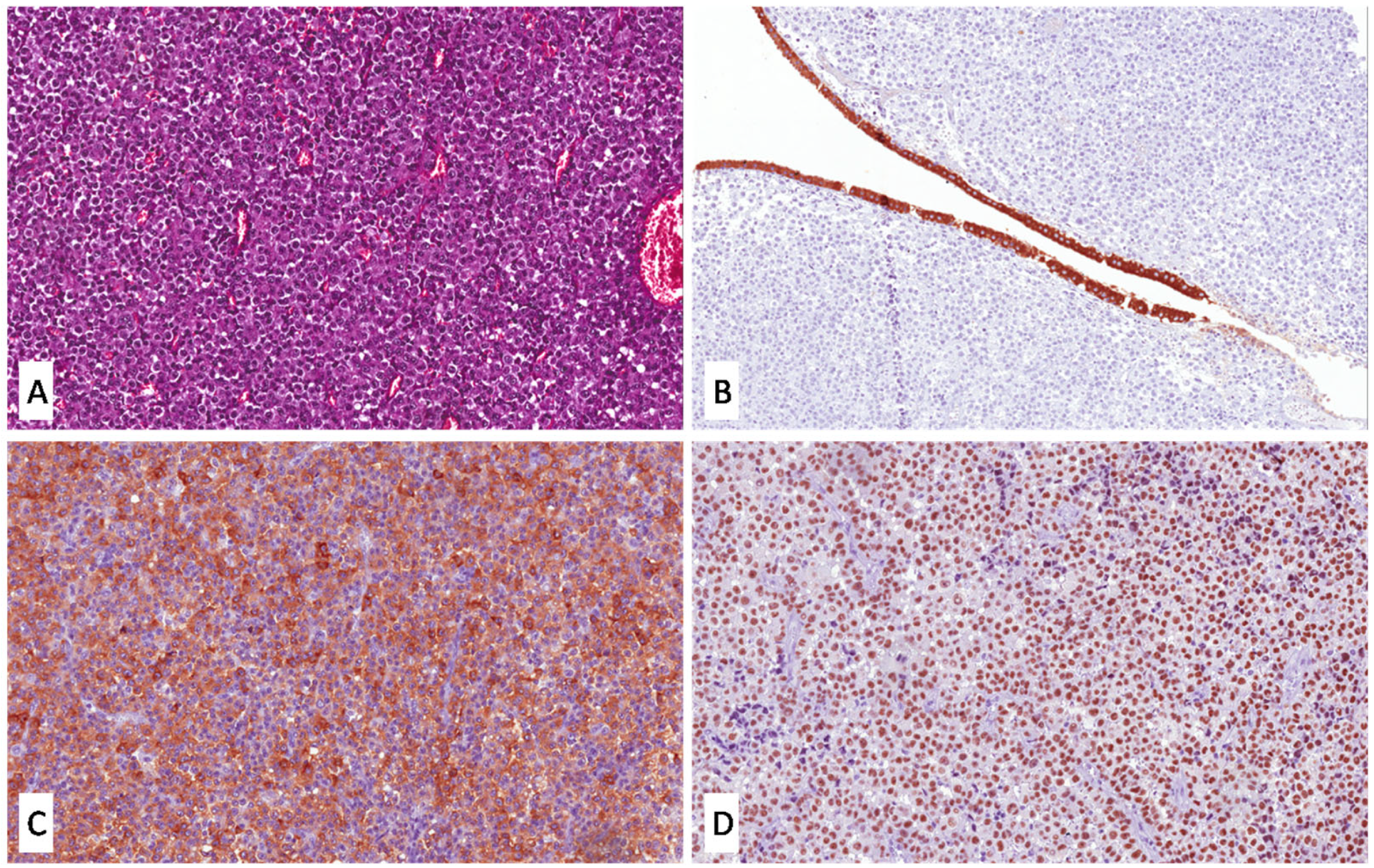 Applsci 13 02201 g001