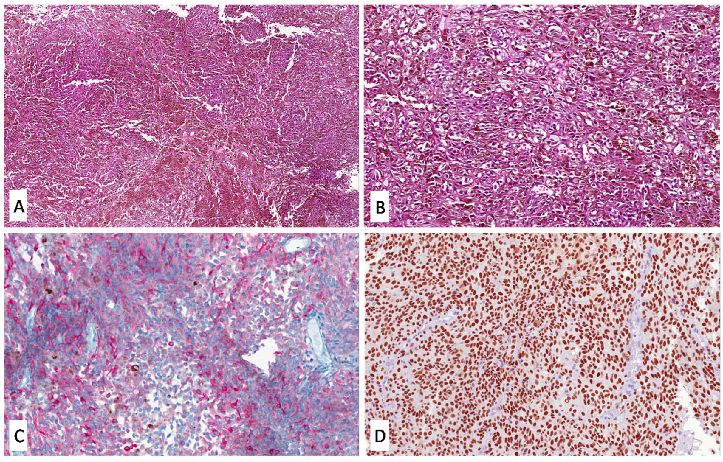 Applsci 13 02201 g002