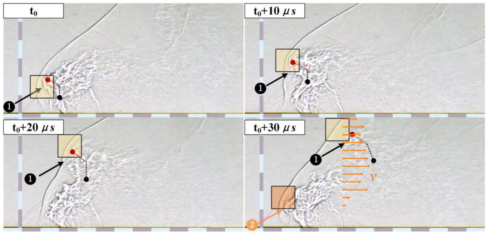 Applsci 13 02202 g010