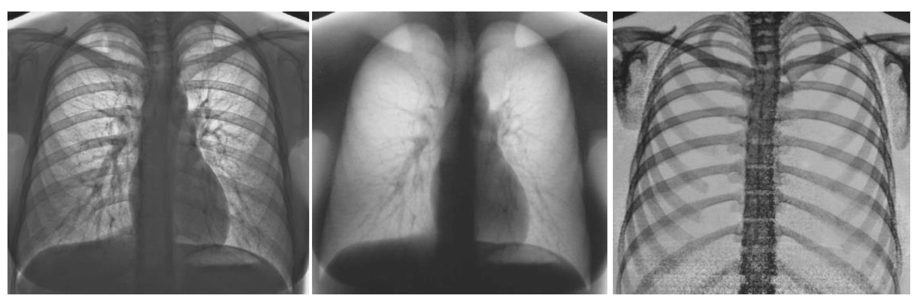 Applsci 13 02218 g006