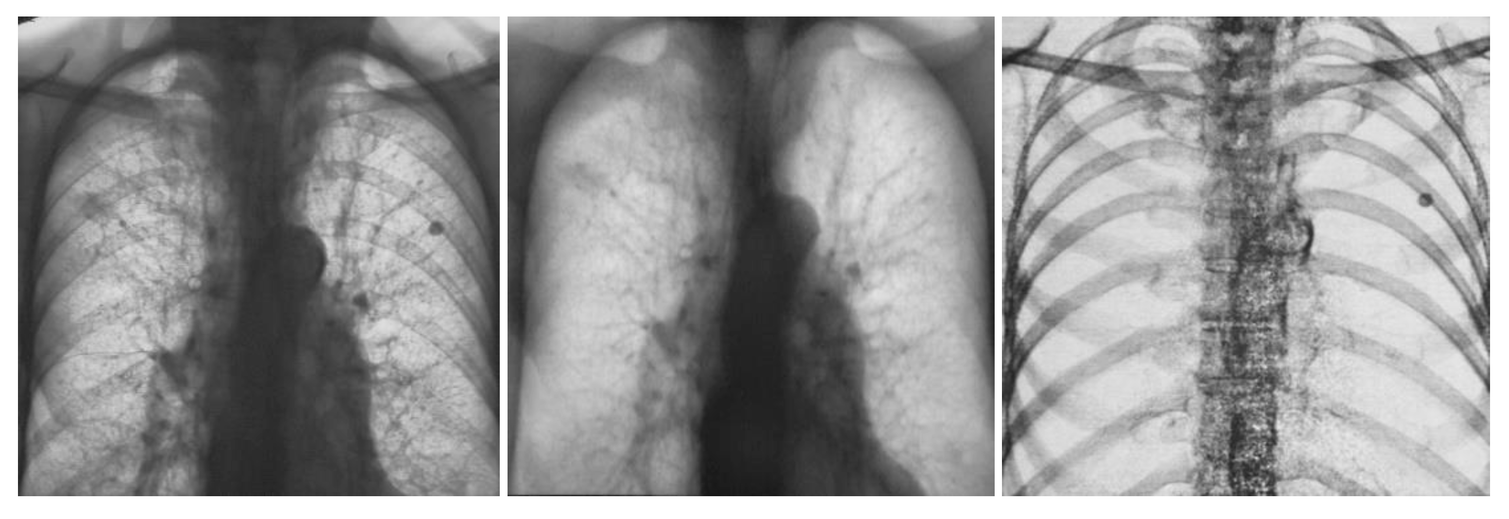 Applsci 13 02218 g007