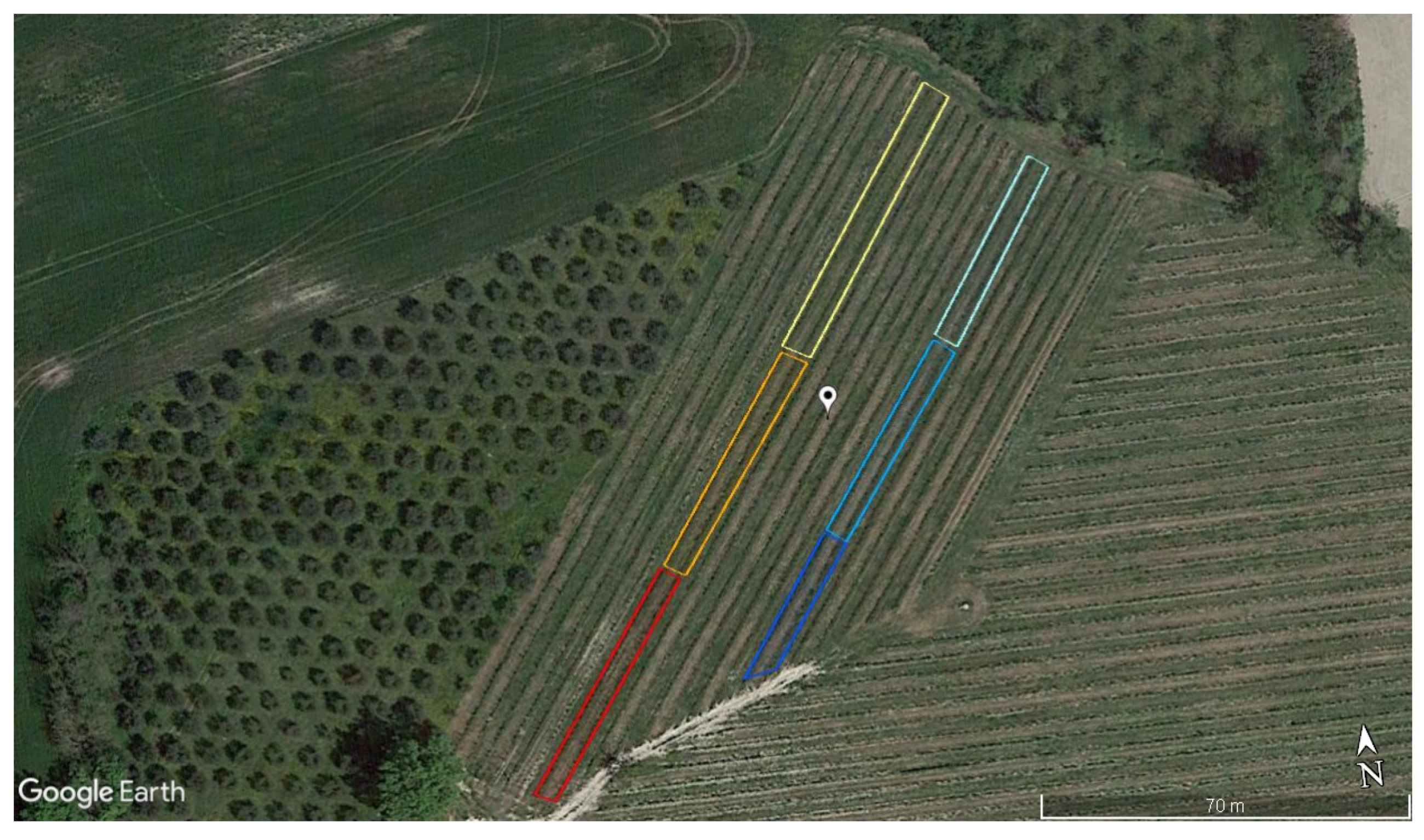 Applsci 13 02222 g004 Applsci 13 02222 g004