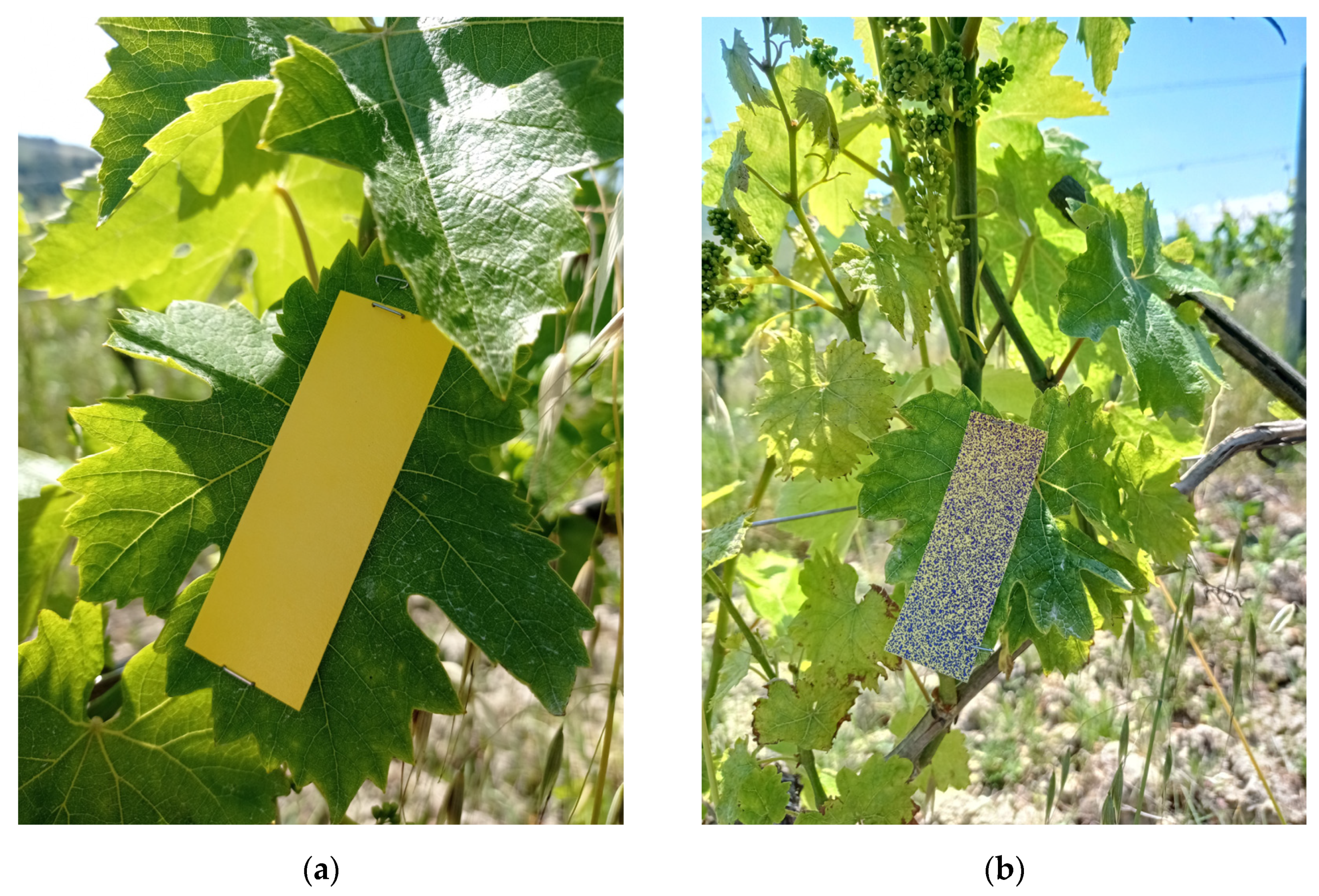 Applsci 13 02222 g005 Applsci 13 02222 g005