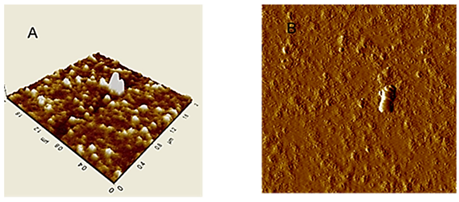 Applsci 13 02236 g002