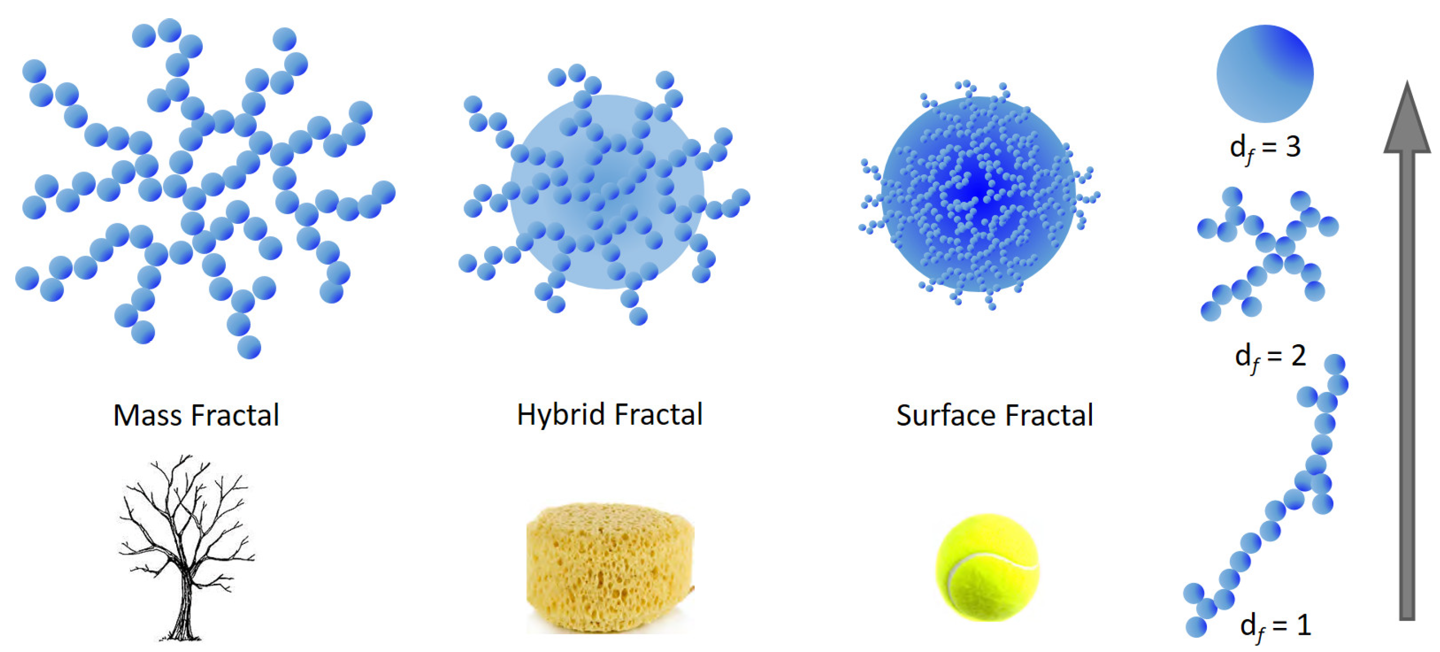 Applsci 13 02236 g006