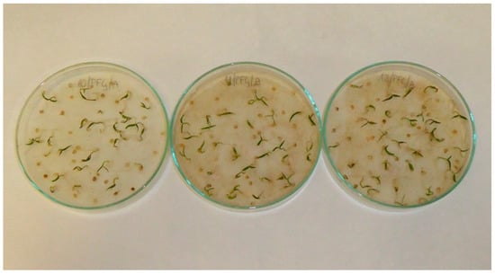 Applsci 13 02258 g0a1