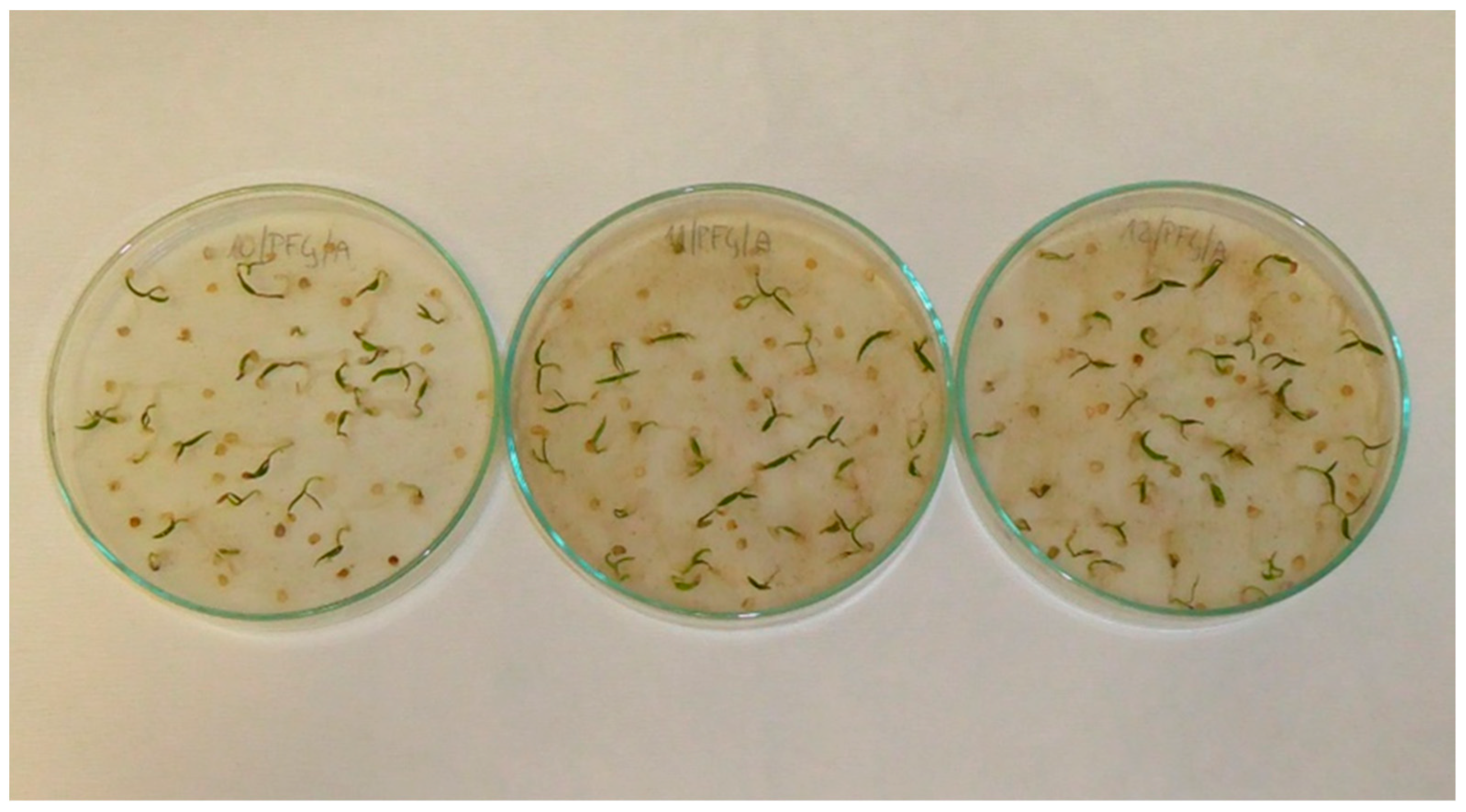 Applsci 13 02258 g0a1