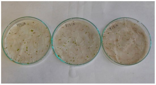 Applsci 13 02258 g0a10