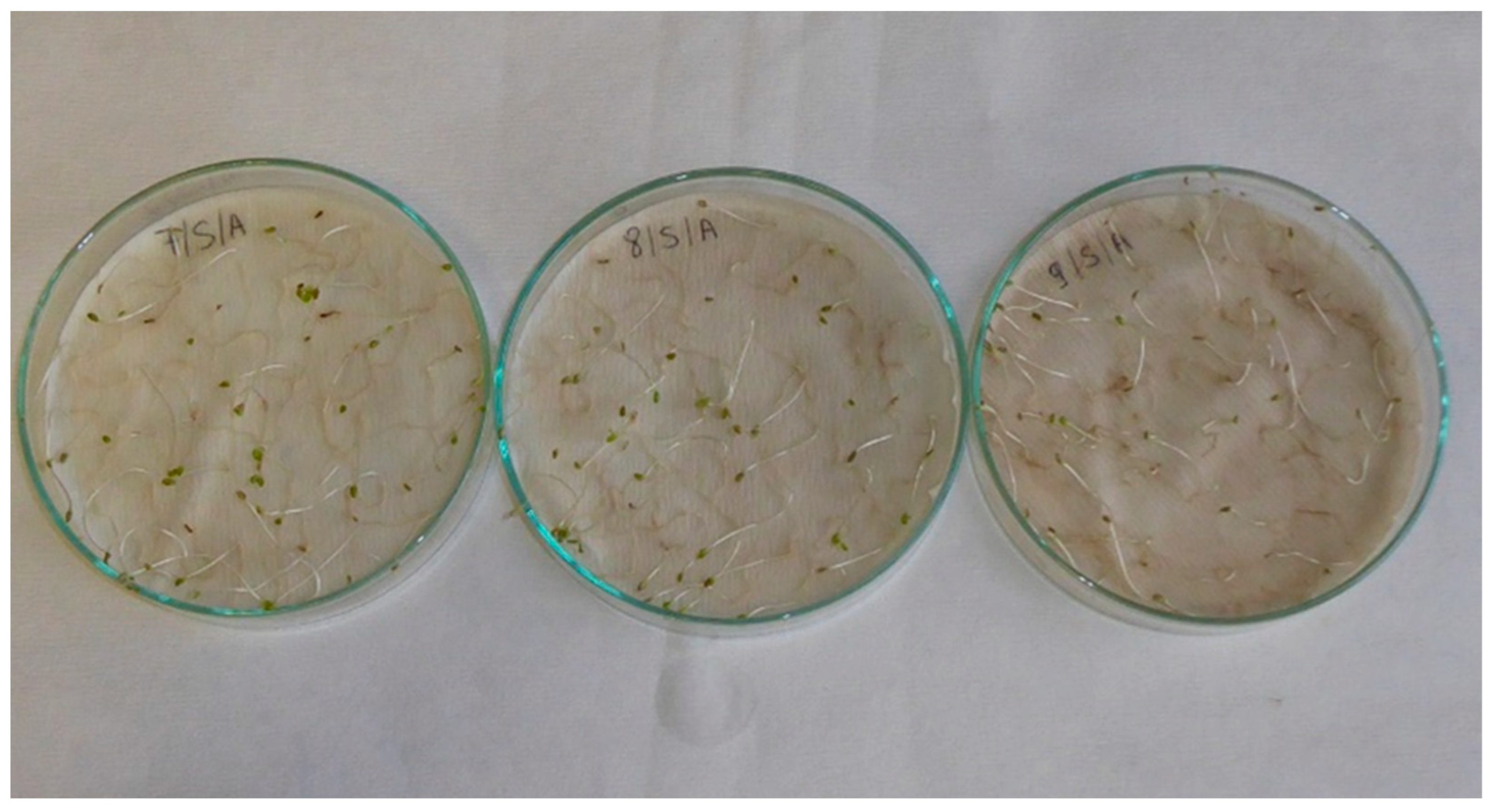 Applsci 13 02258 g0a10