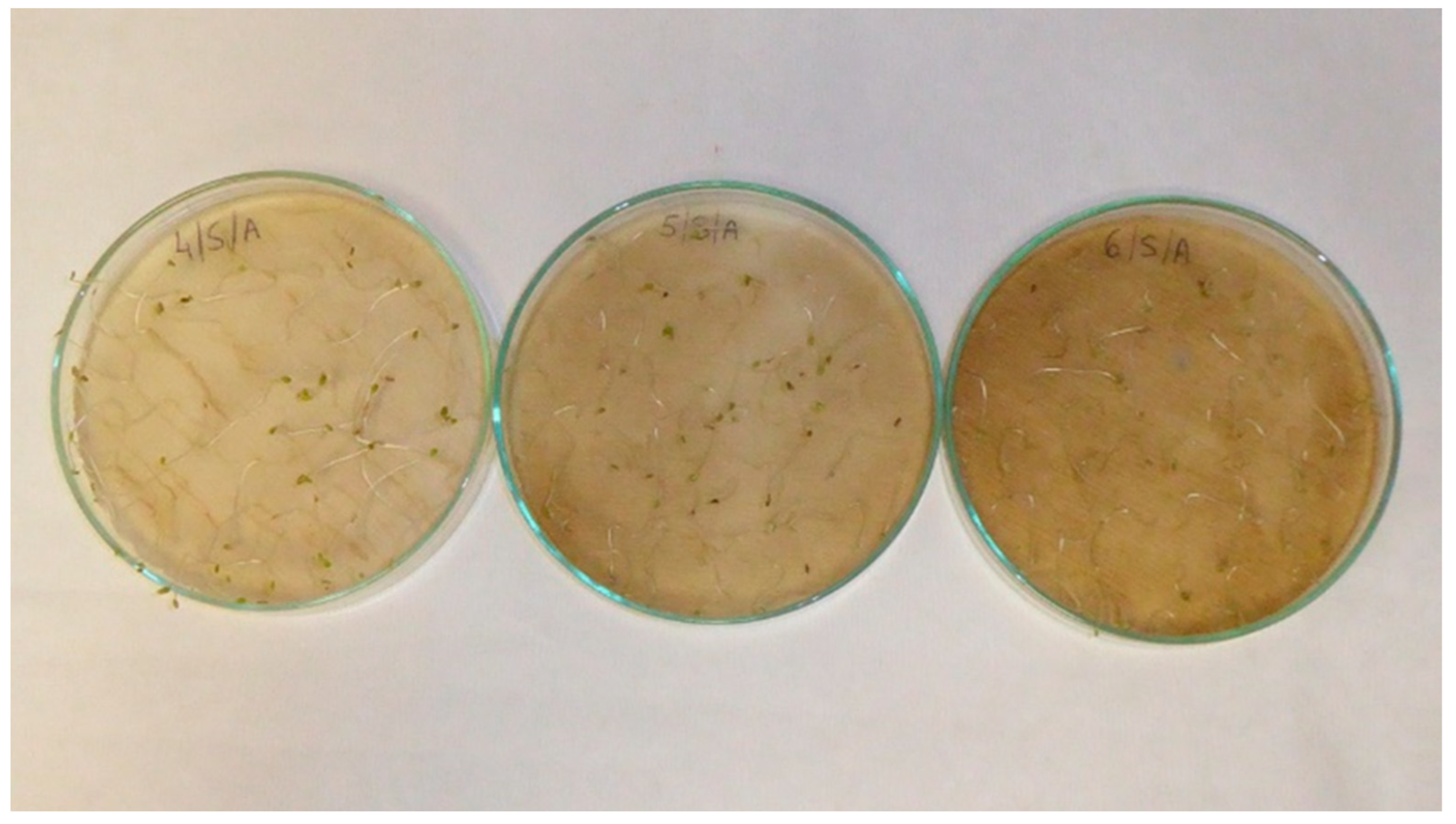 Applsci 13 02258 g0a11