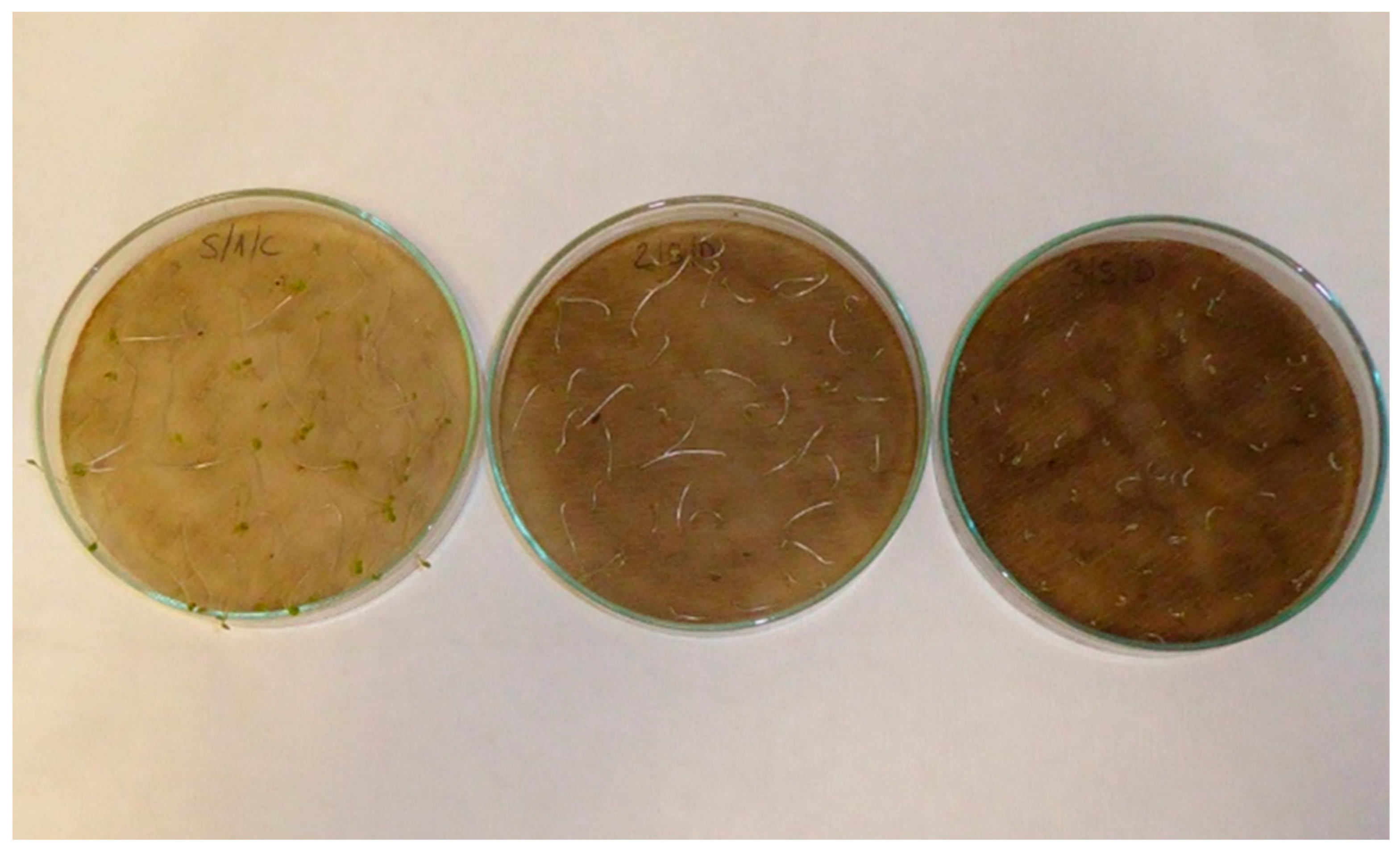 Applsci 13 02258 g0a12