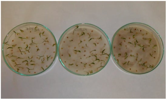 Applsci 13 02258 g0a2